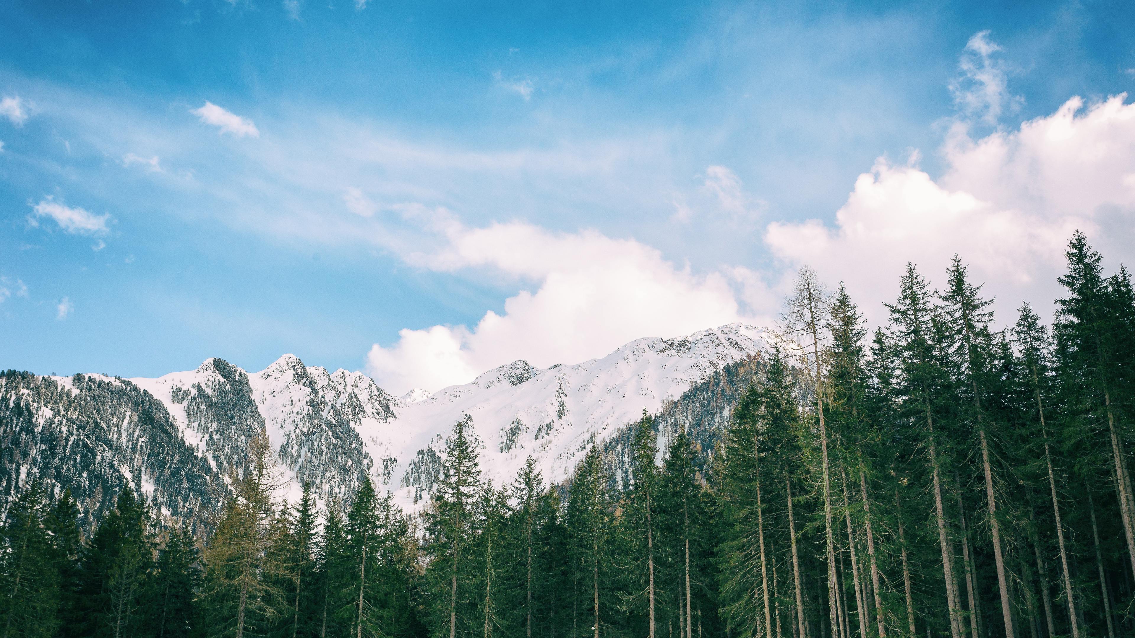 snowy mountains long trees stock 4k 1540138438