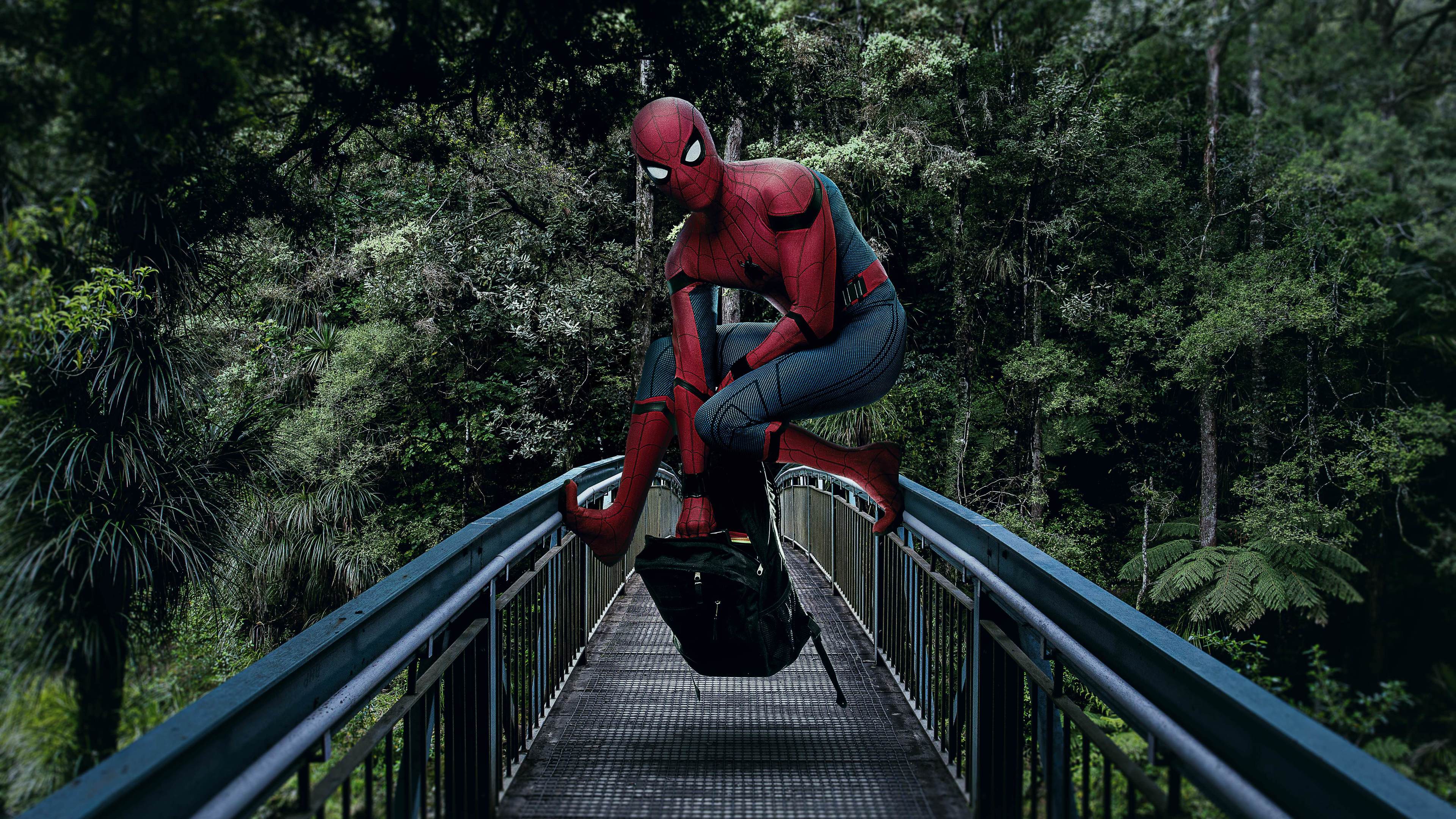 spiderman on the bridge 1538785829