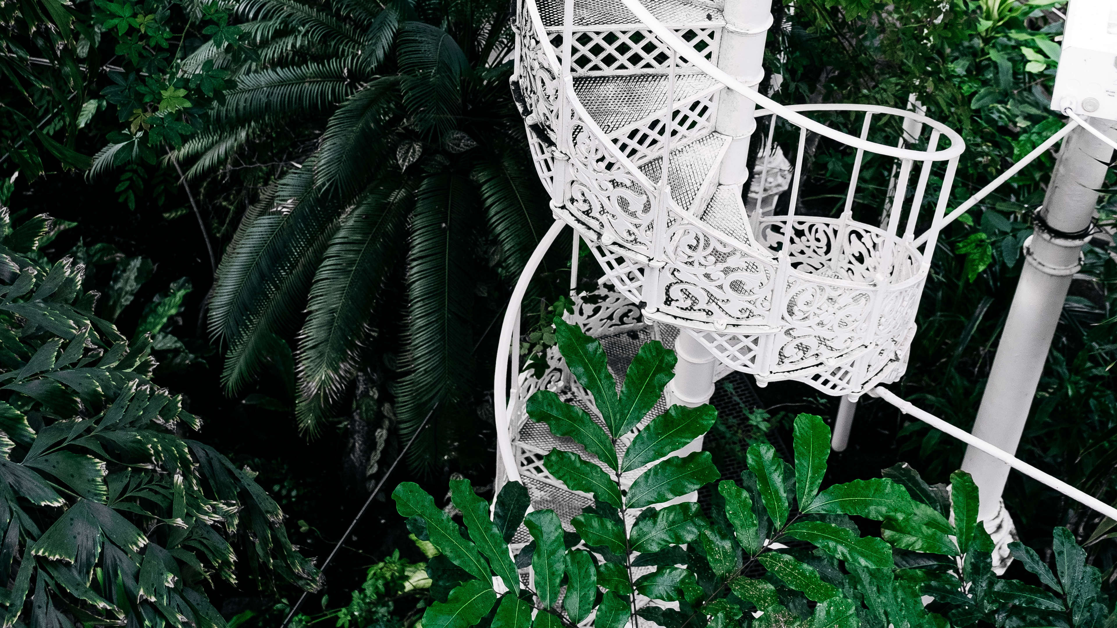 staircase circular botanical garden green plants 4k 1540064411