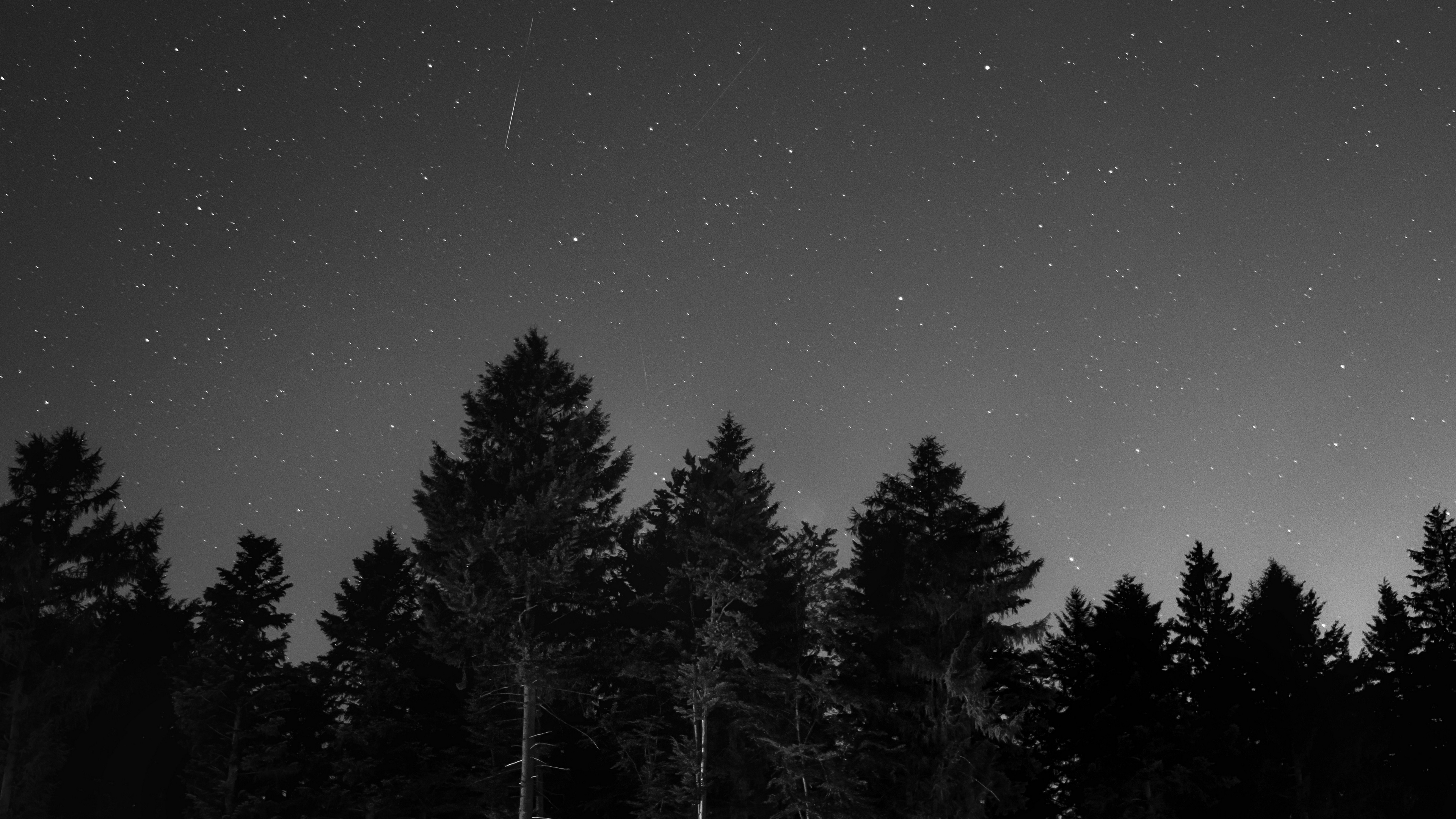 starry sky night bw 4k 1540574541