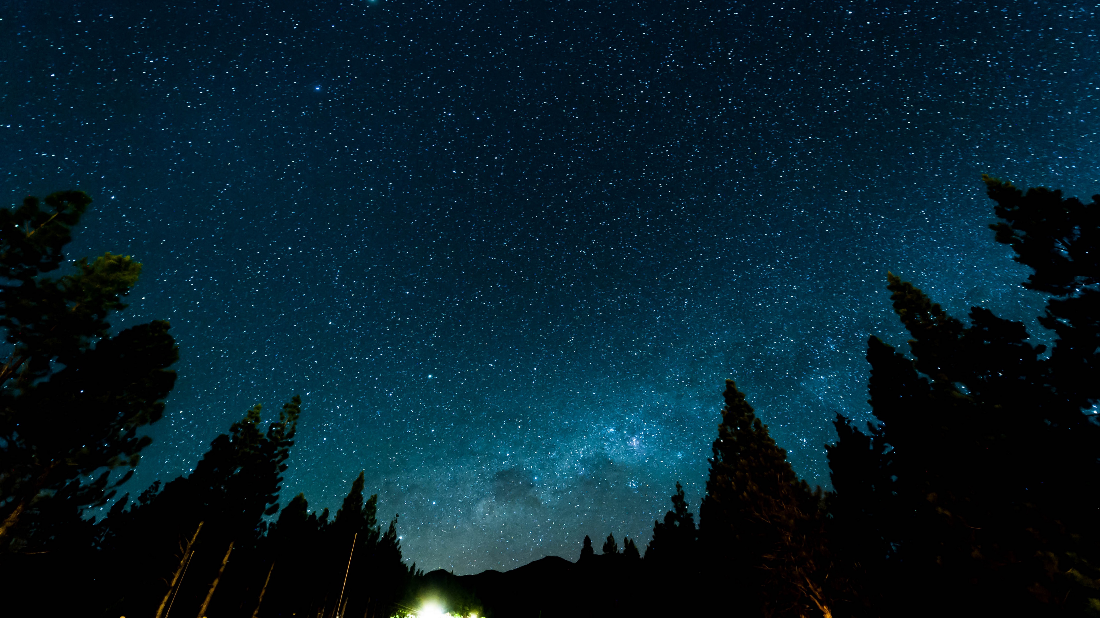Starry Sky, Night, Stars, Forest, Nebula 4K