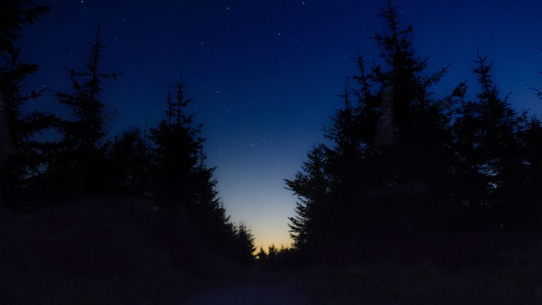 starry sky, night, trees 4k