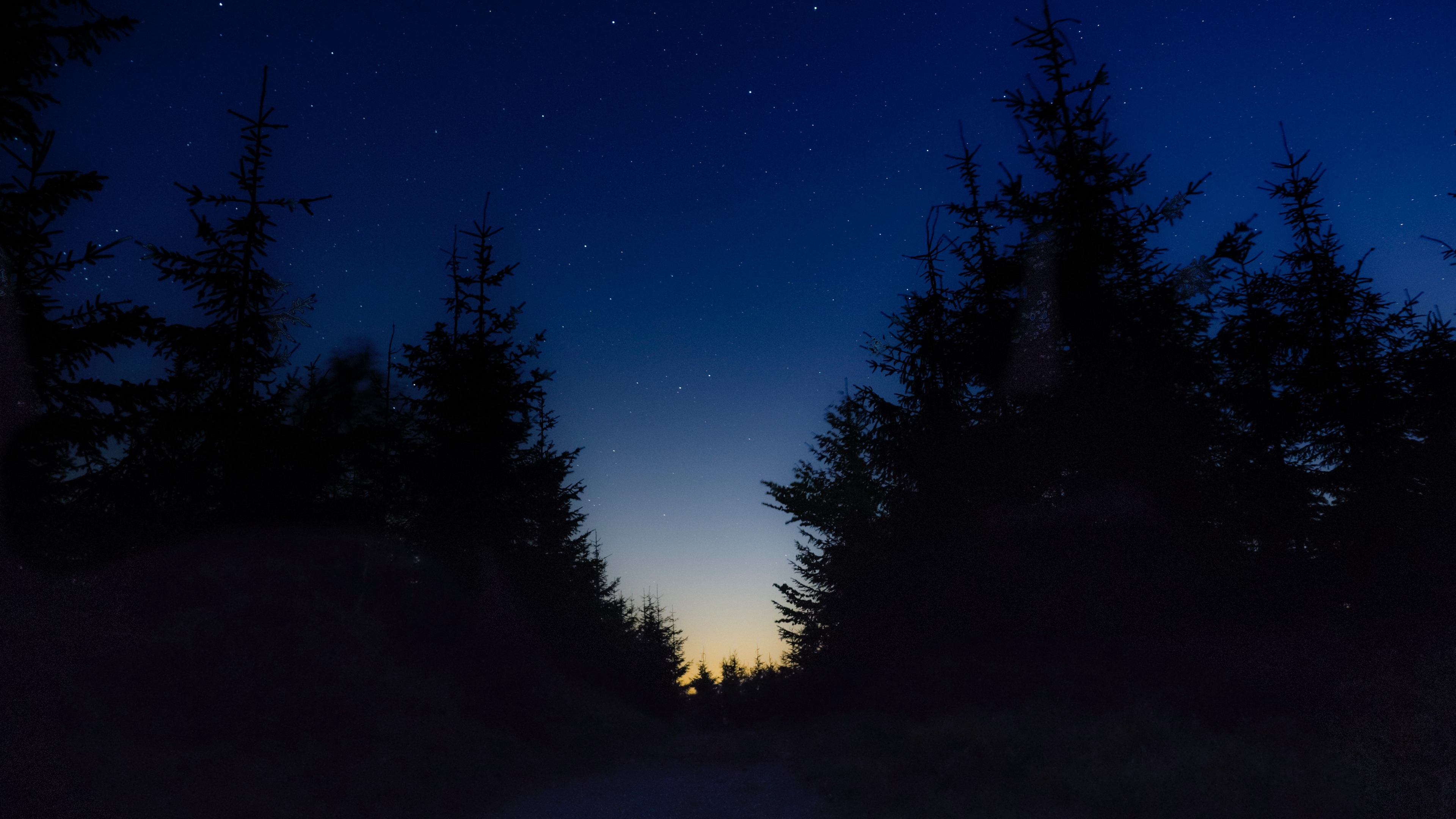 starry sky night trees 4k 1540574964