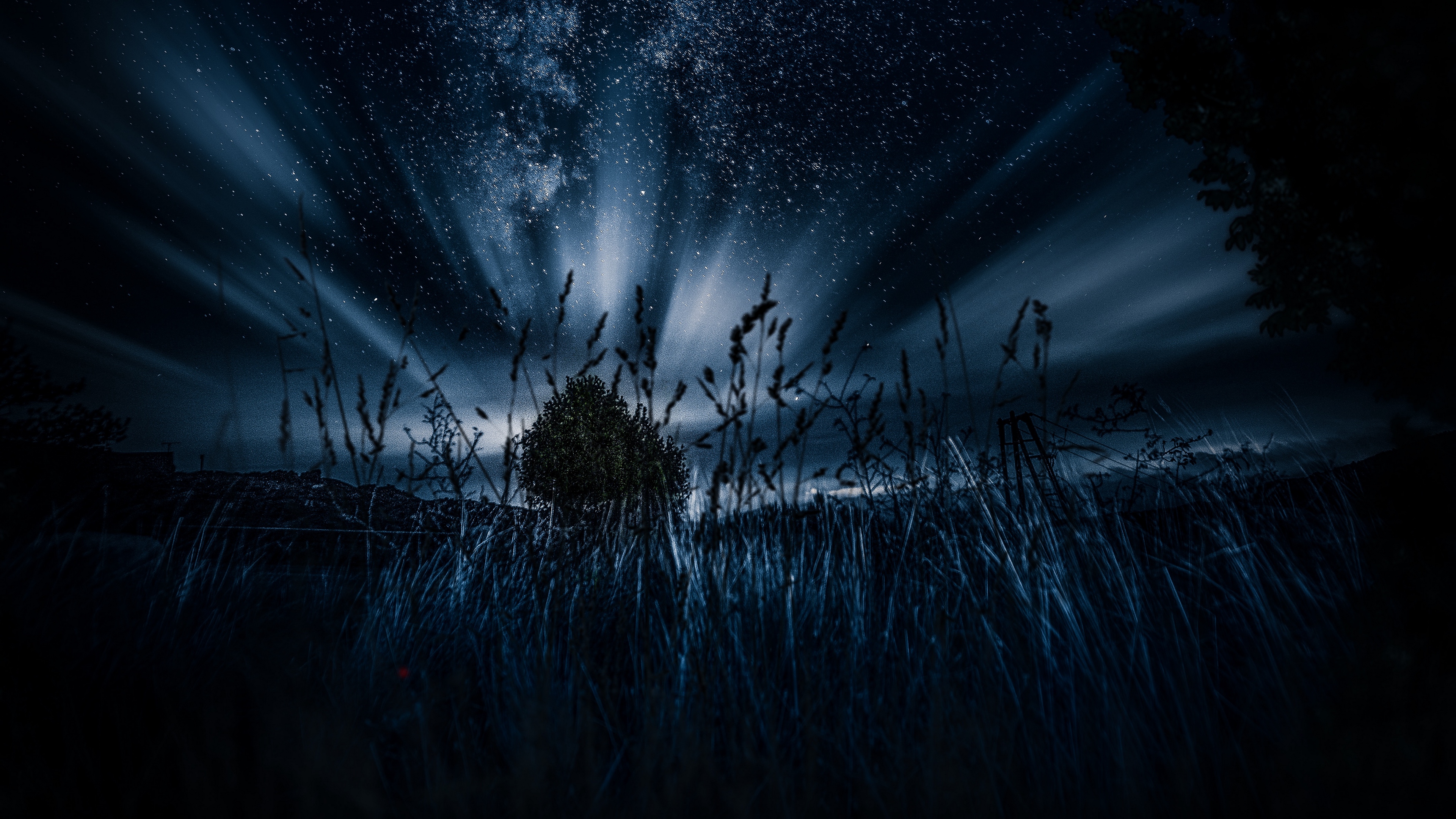 starry sky tree grass night 4k 1540575590