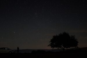 starry sky tree night sky 4k 1540576316