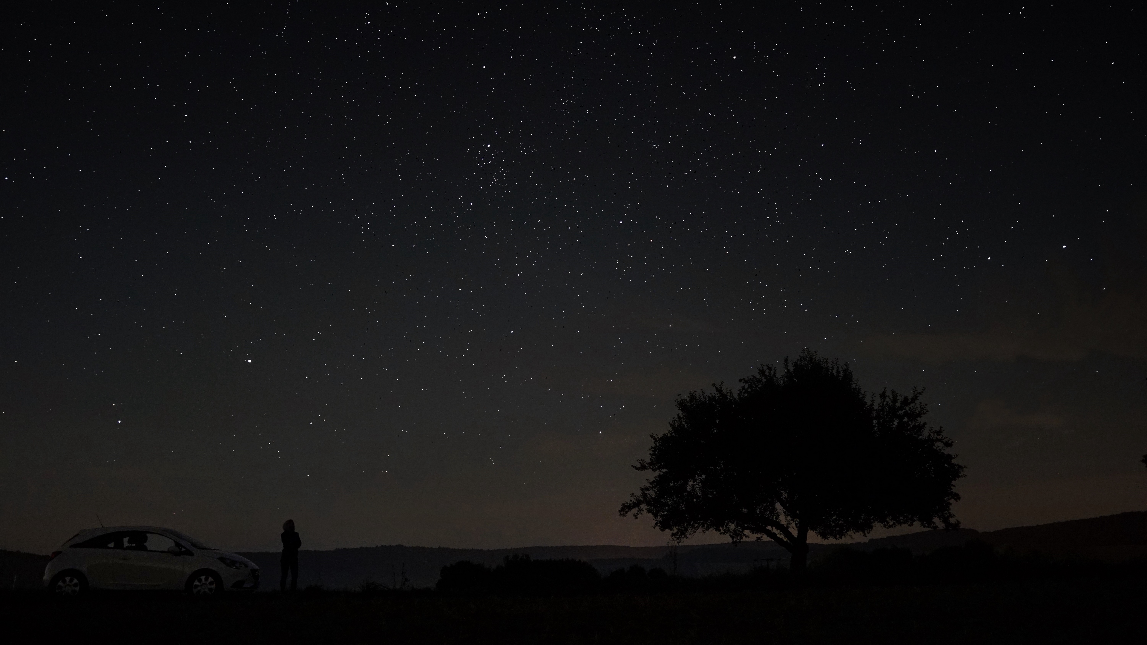 starry sky tree night sky 4k 1540576316