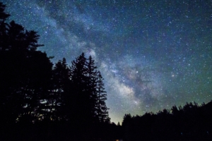 starry sky trees galaxy 4k 1540576243