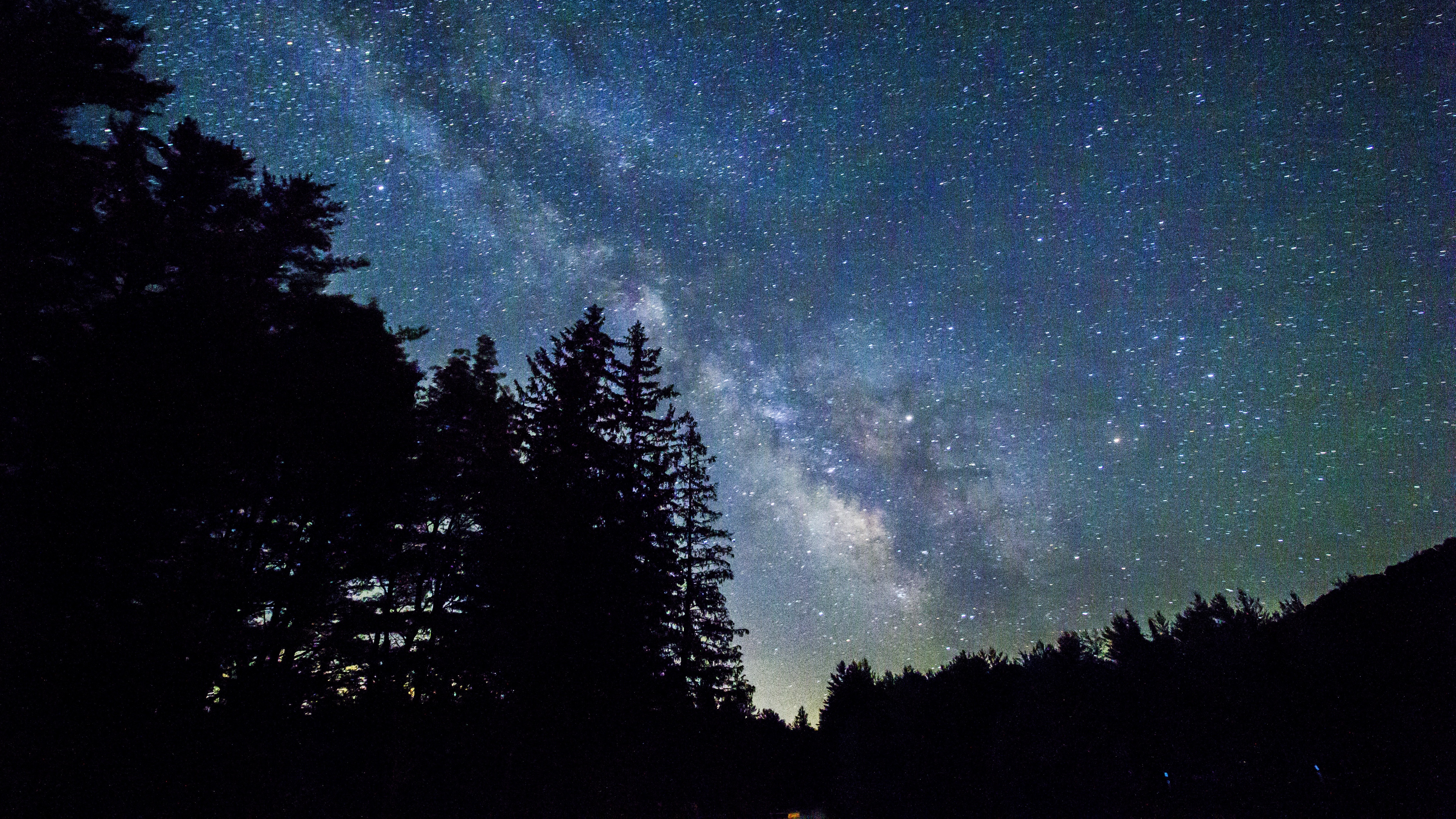 starry sky trees galaxy 4k 1540576243