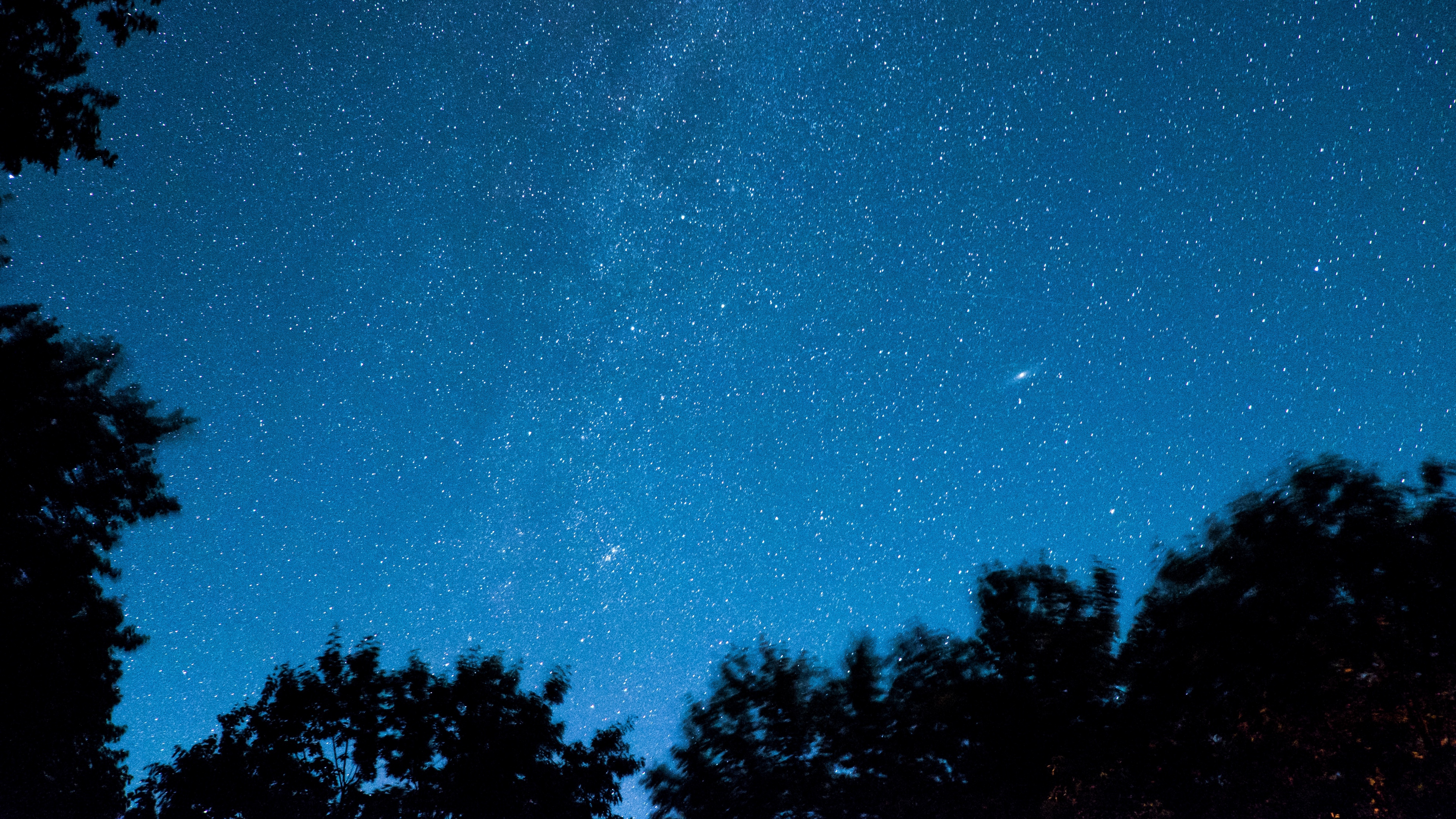 starry sky trees stars night radiance 4k 1540575794