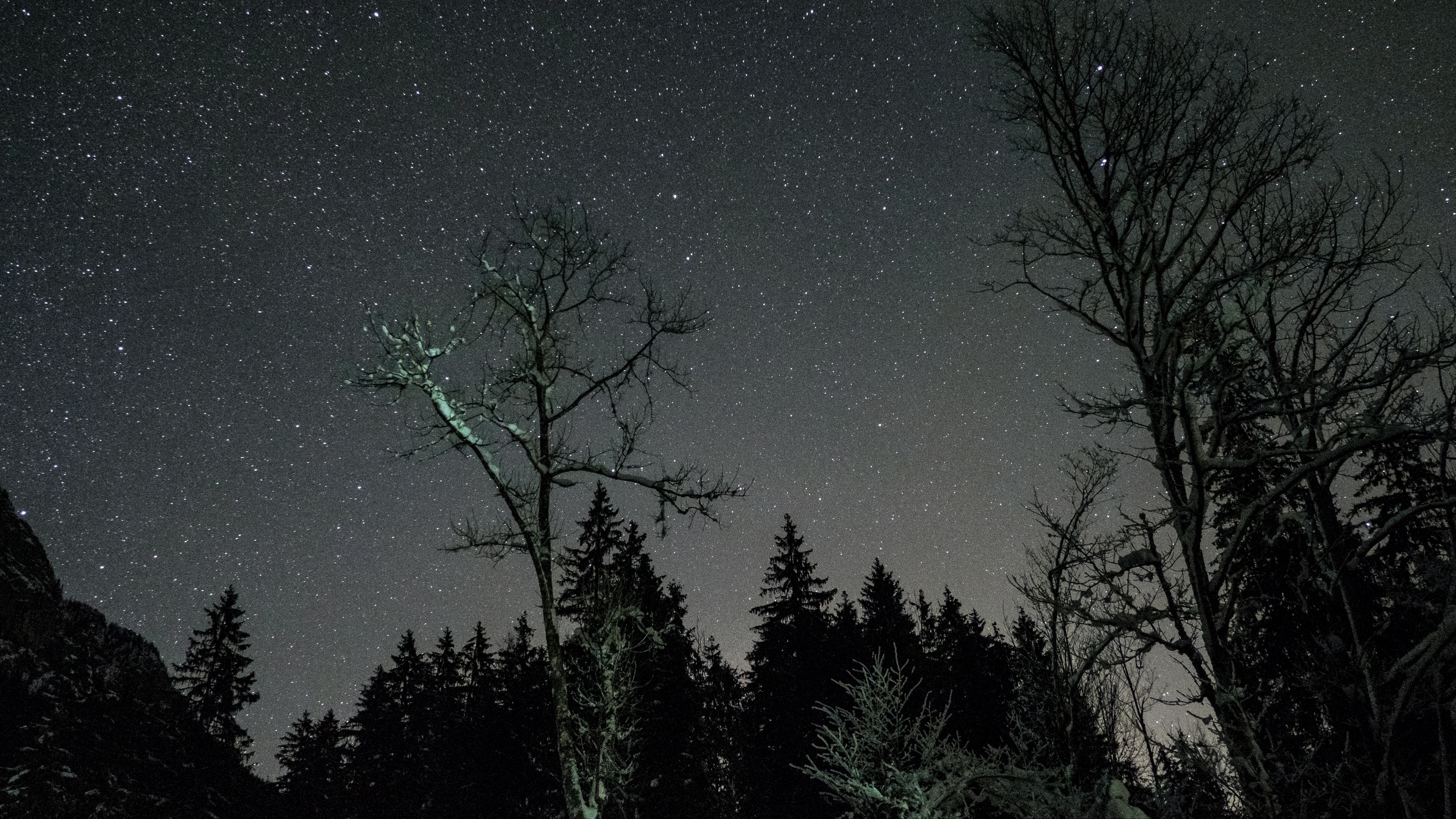 stars night sky trees 4k 1540576397