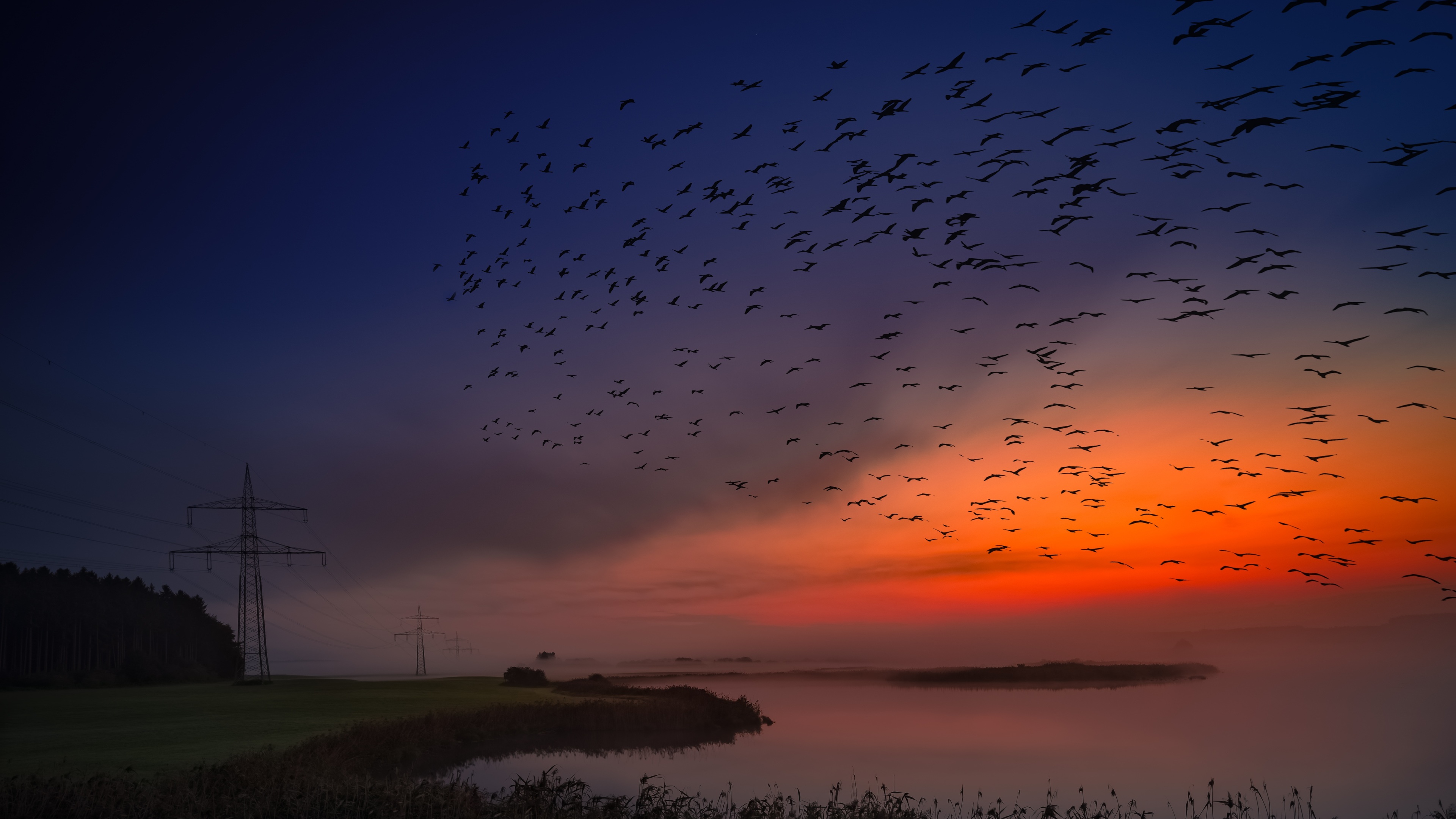 sunrise birds flight 4k 1540134131