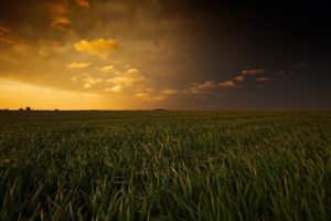 sunset fields 4k 1540132149