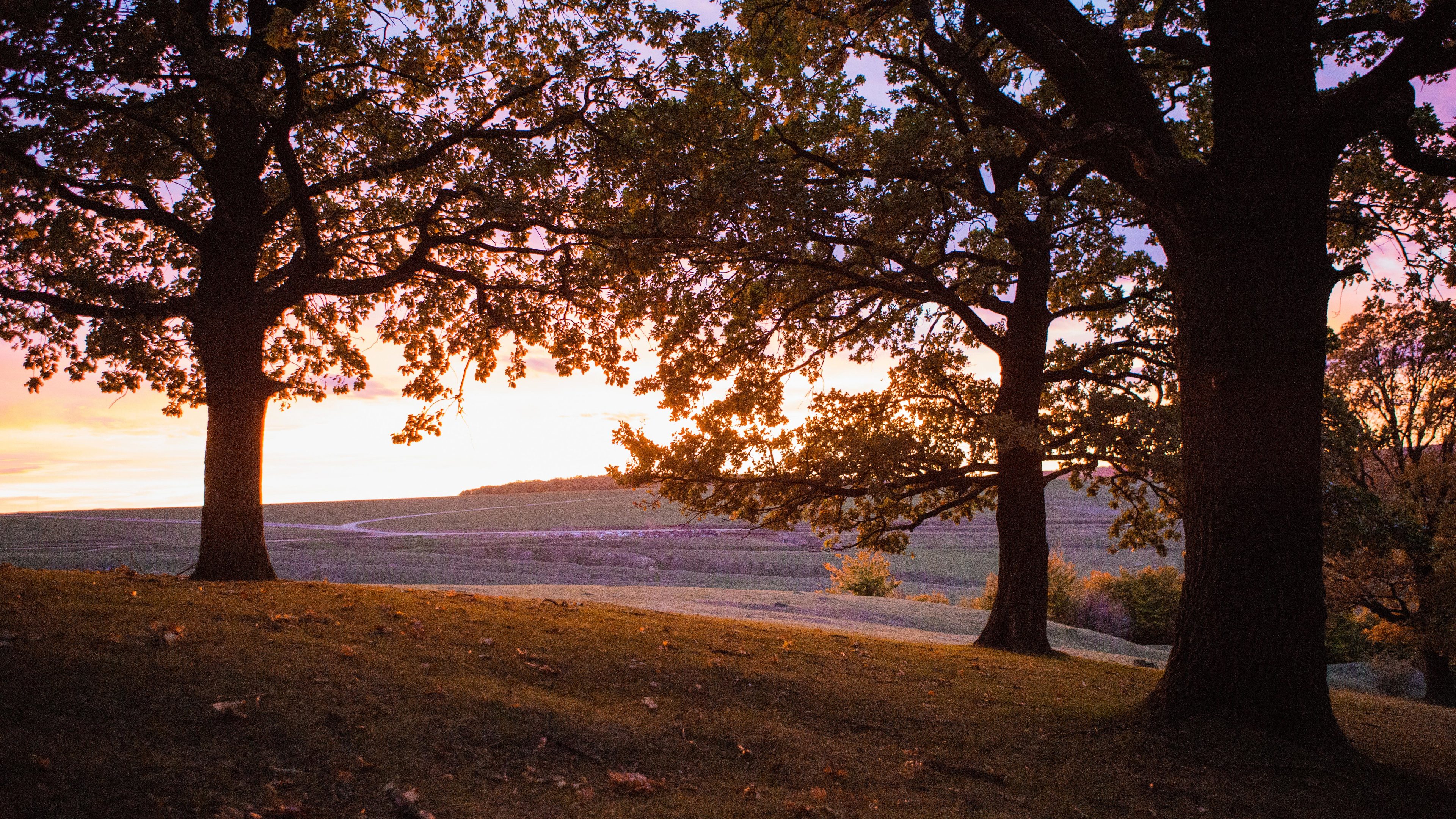 sunset suceava trees nature 4k 1540134586