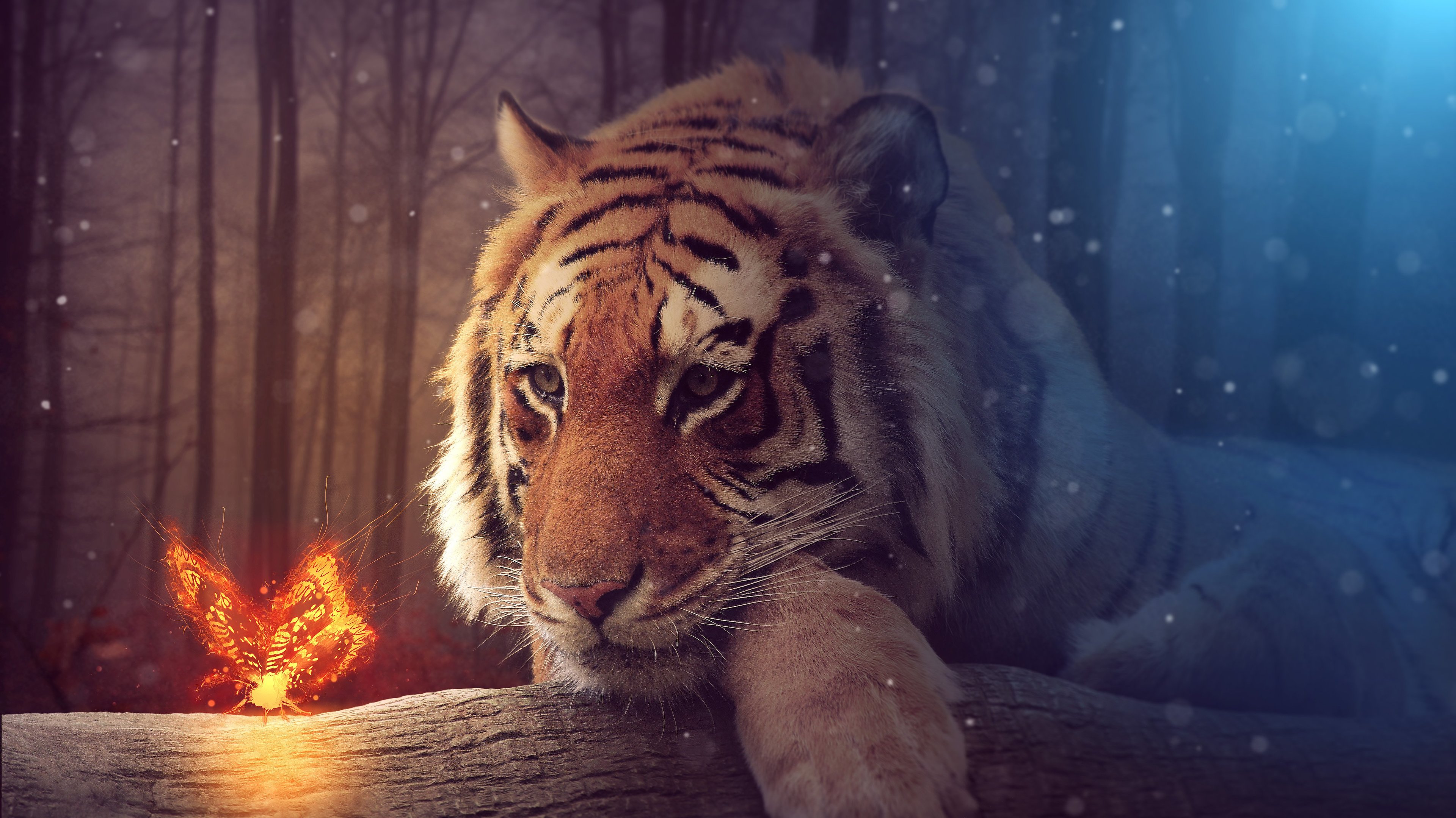 tiger dreamy art 4k 1540748626