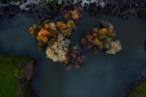 top view of trees at winter morning 4k 1540132674