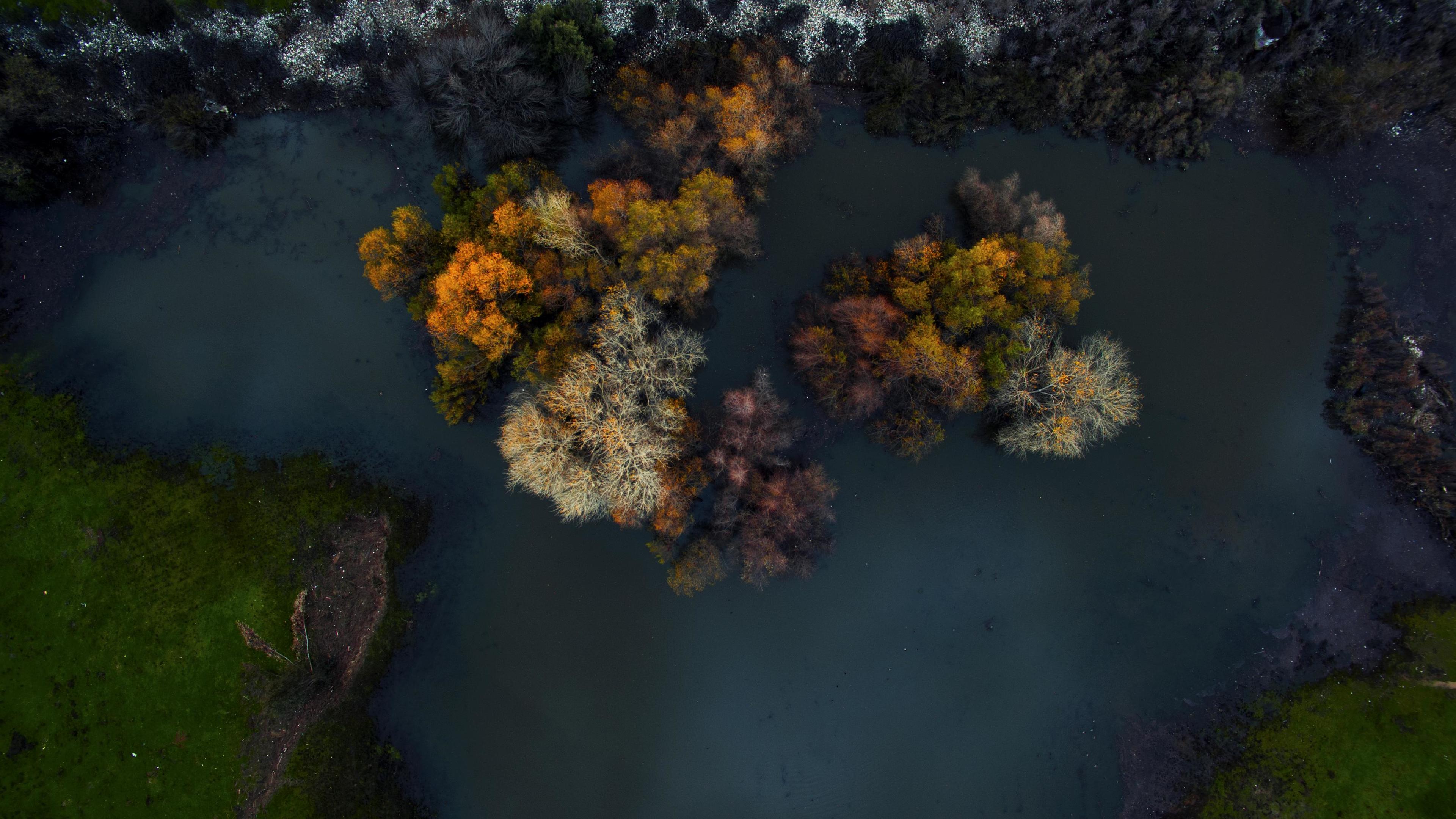 top view of trees at winter morning 4k 1540132674