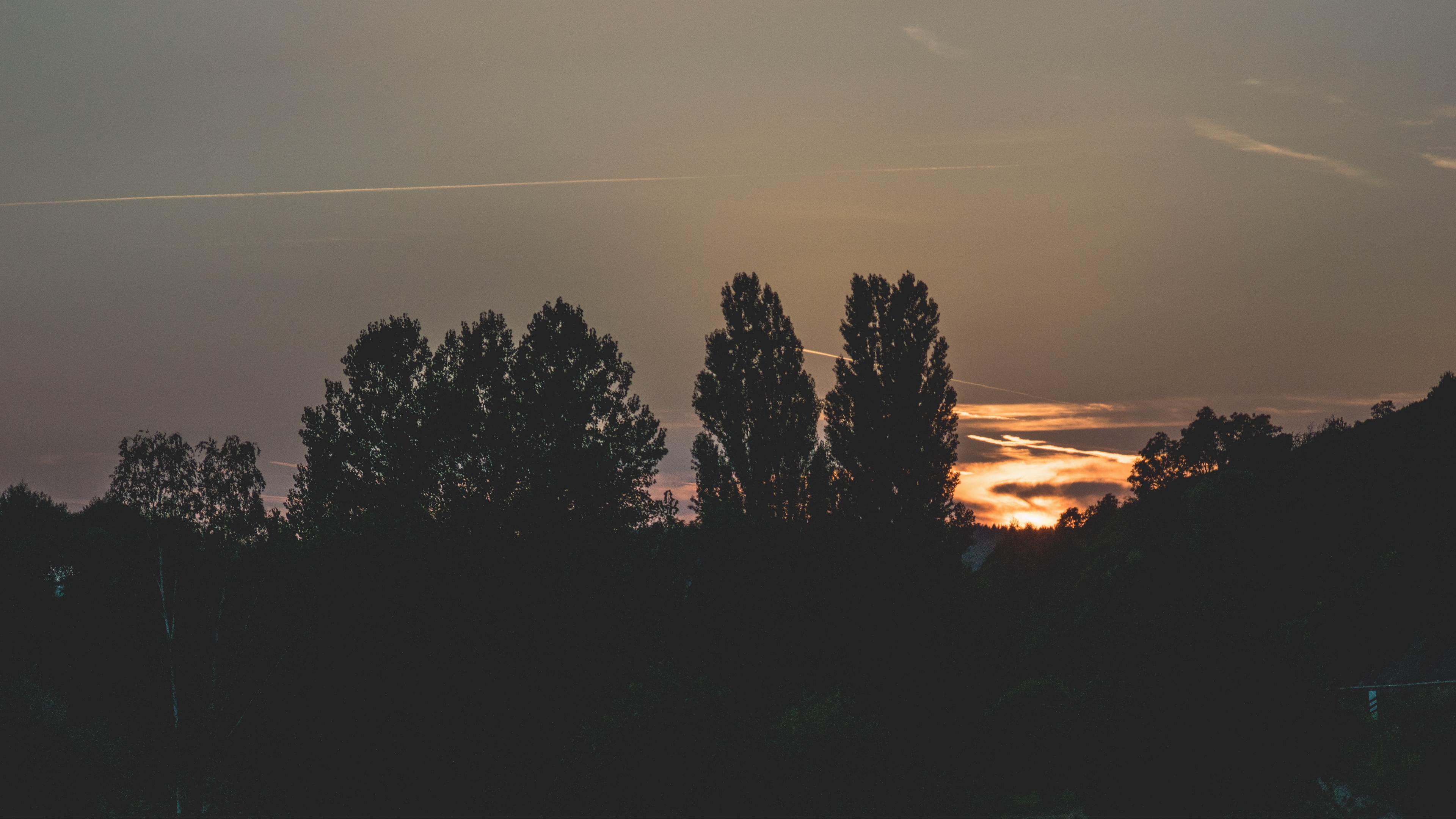 trees evening night sky 4k 1540575052