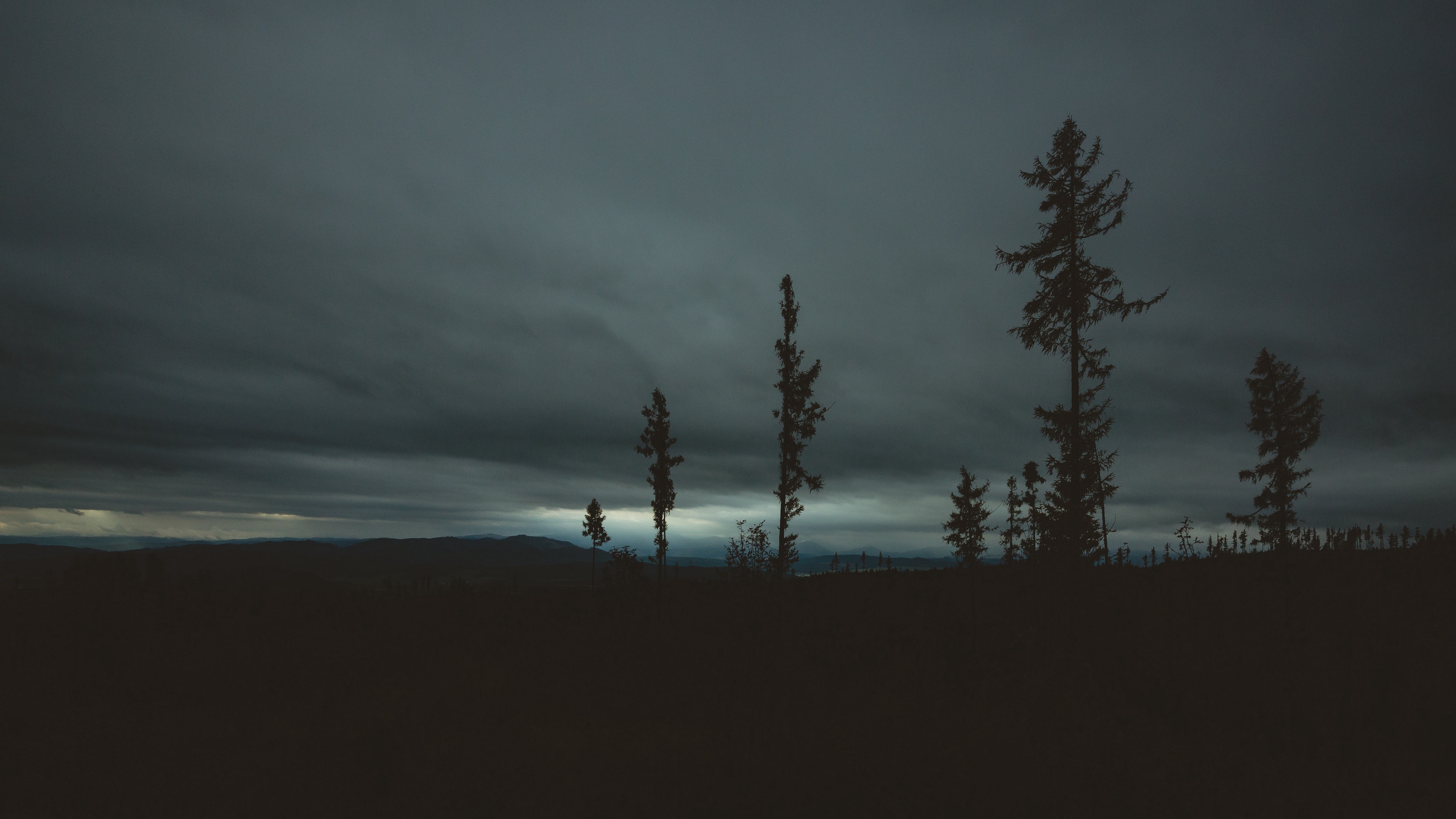 trees evening sky horizon 4k 1540575757