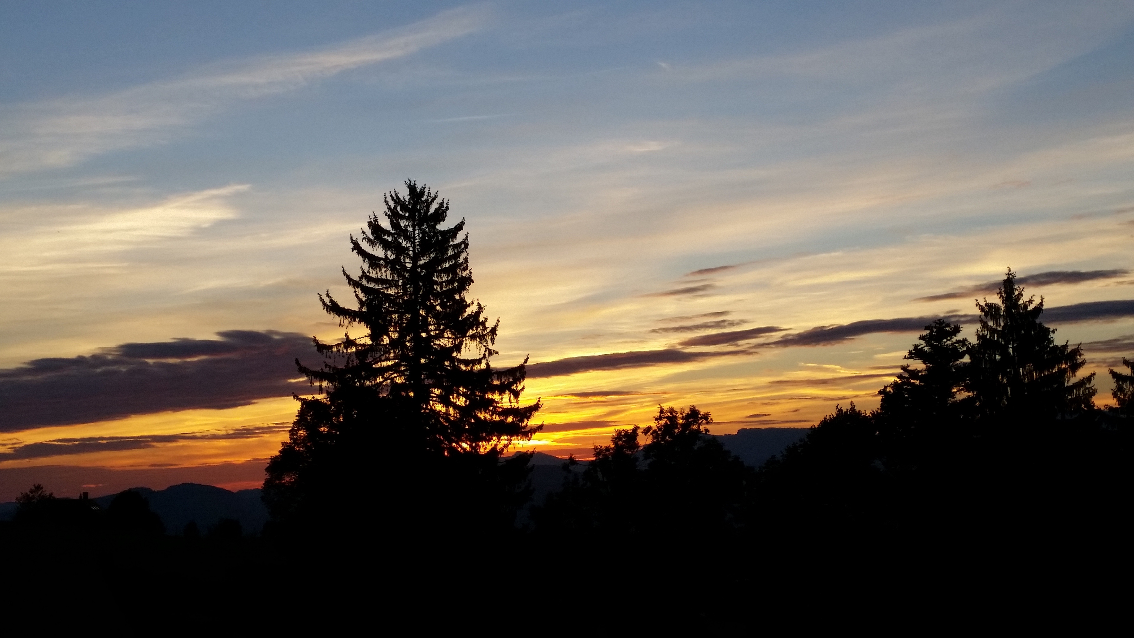 trees sky sunrise clouds 4k 1540575581