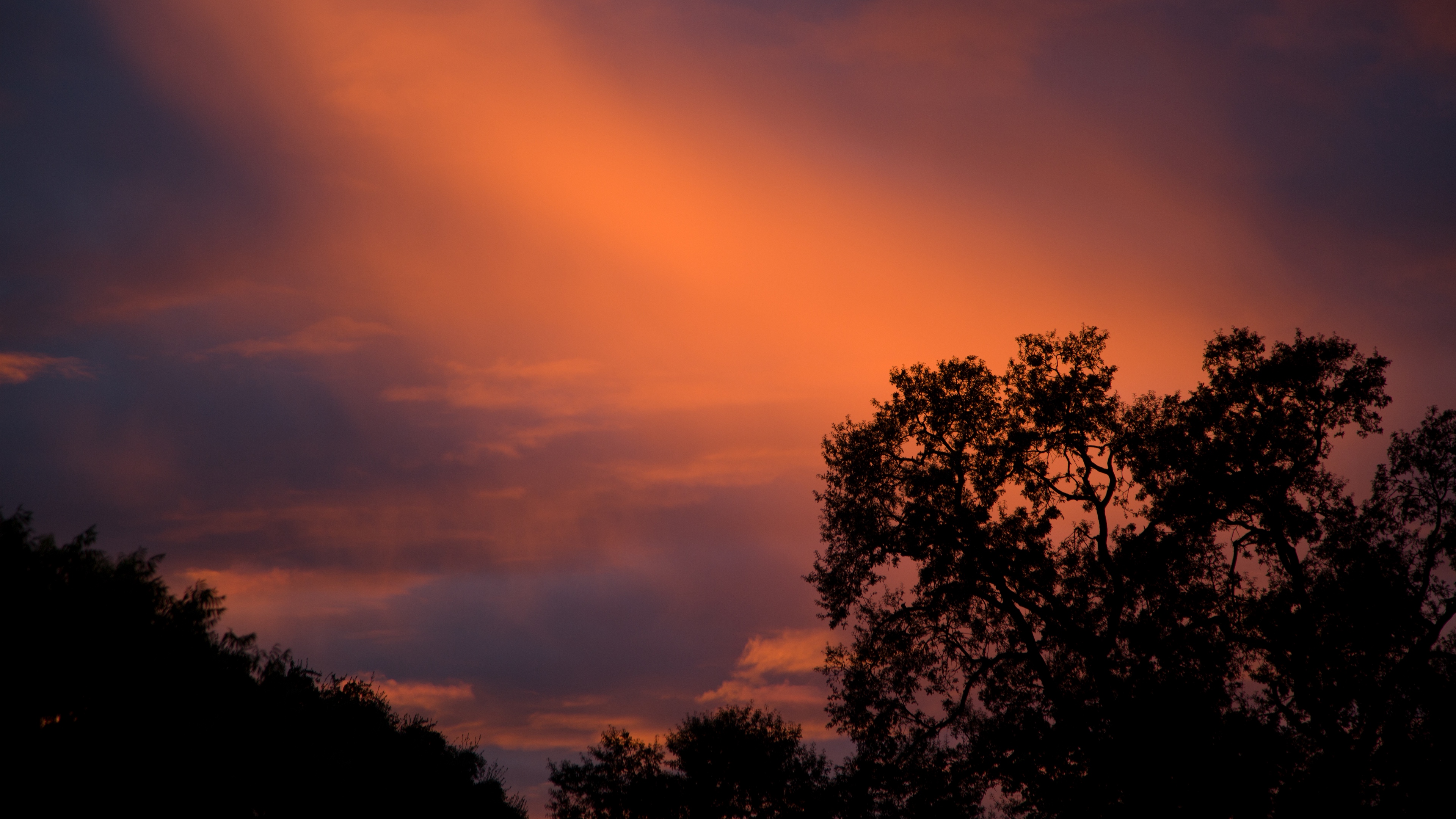 trees sunset sky clouds outlines branches 4k 1540145822