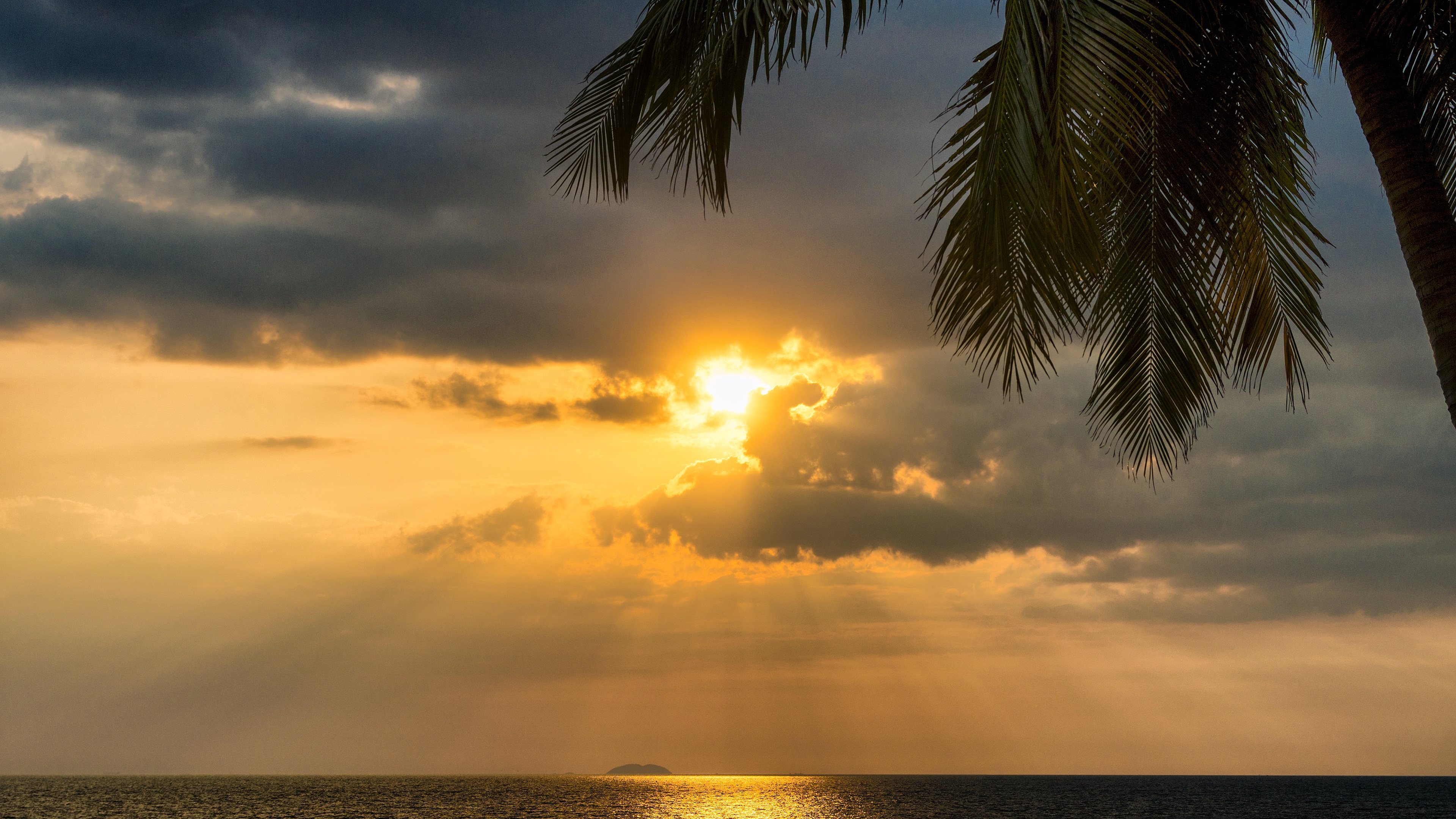 tropical palm tree beside sunset ocean 4k 1540137256