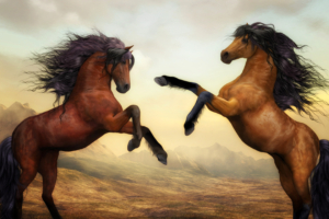 two horses dance 4k 1540750232