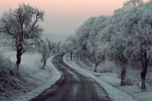 winter road snow frozen trees on sides 5k 1540143198