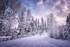 winter road snow trees white 4k 1540135669