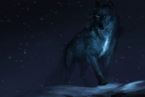 wolf drawing 4k 1540750204