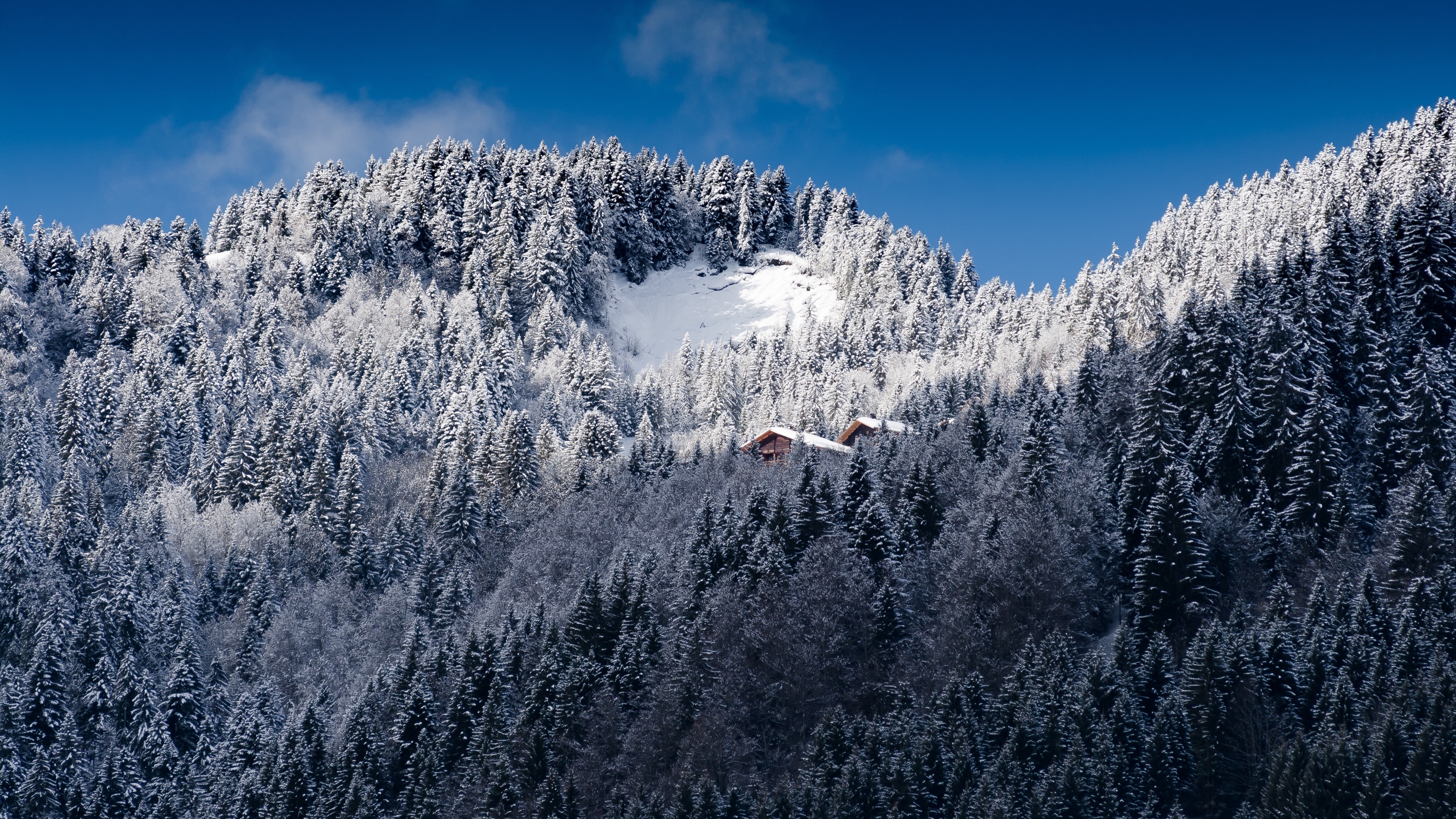 alps mountains snow trees 4k 1541114514