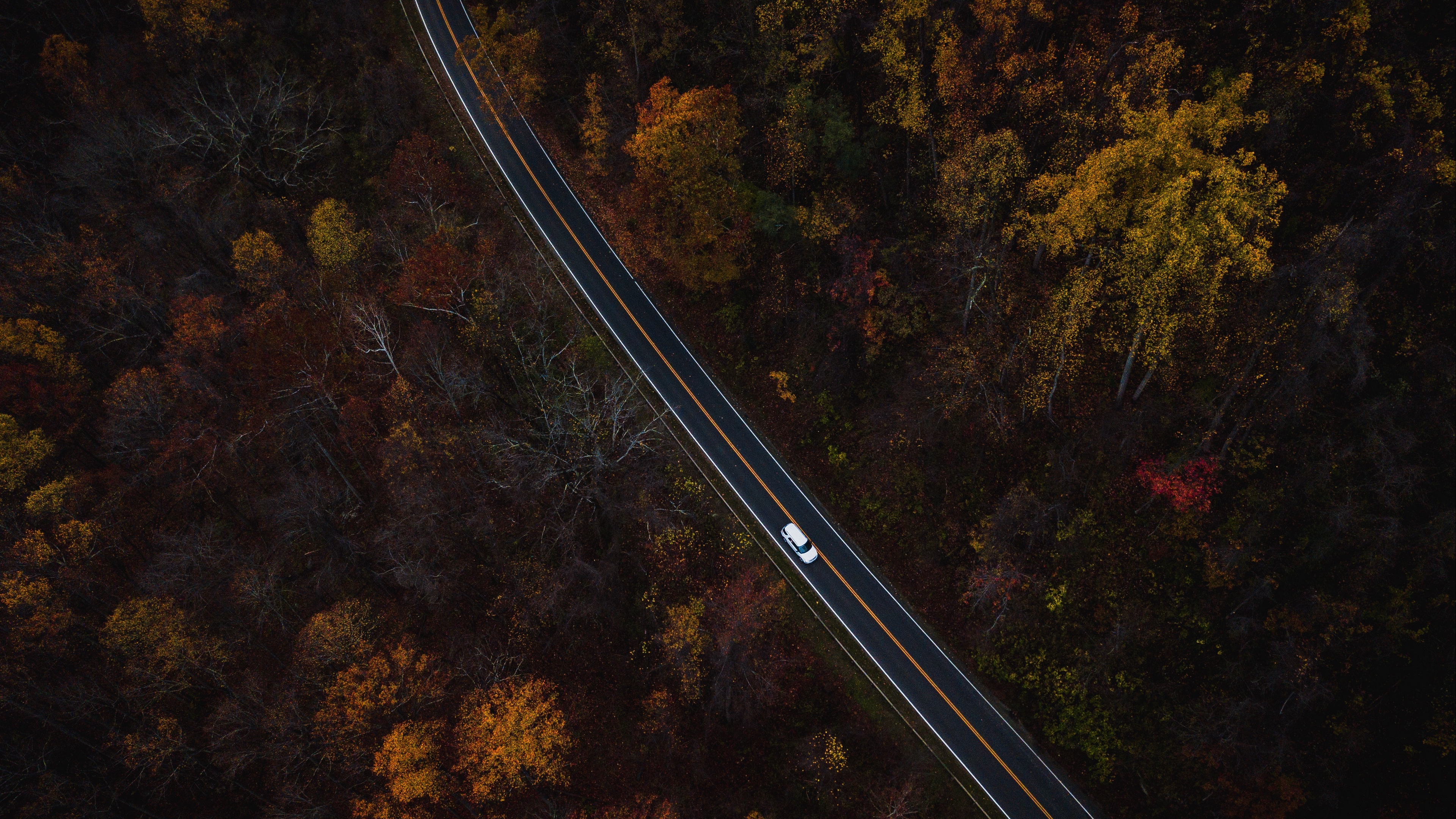 auto road view from above trees 4k 1541114286