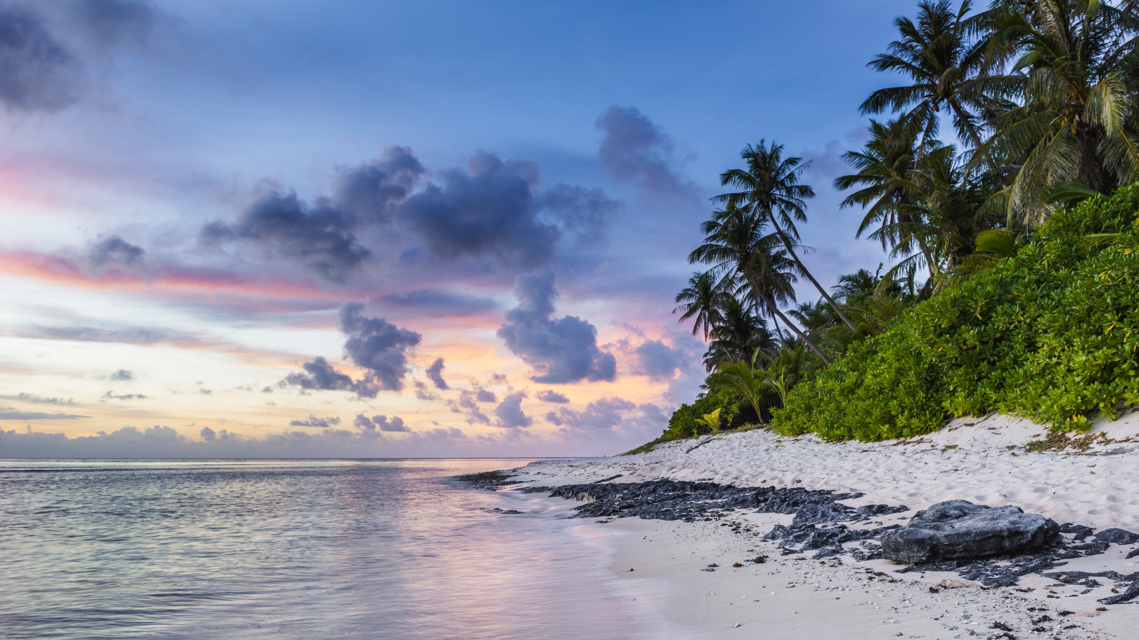 beach palms sand ocean 4k 1541115873