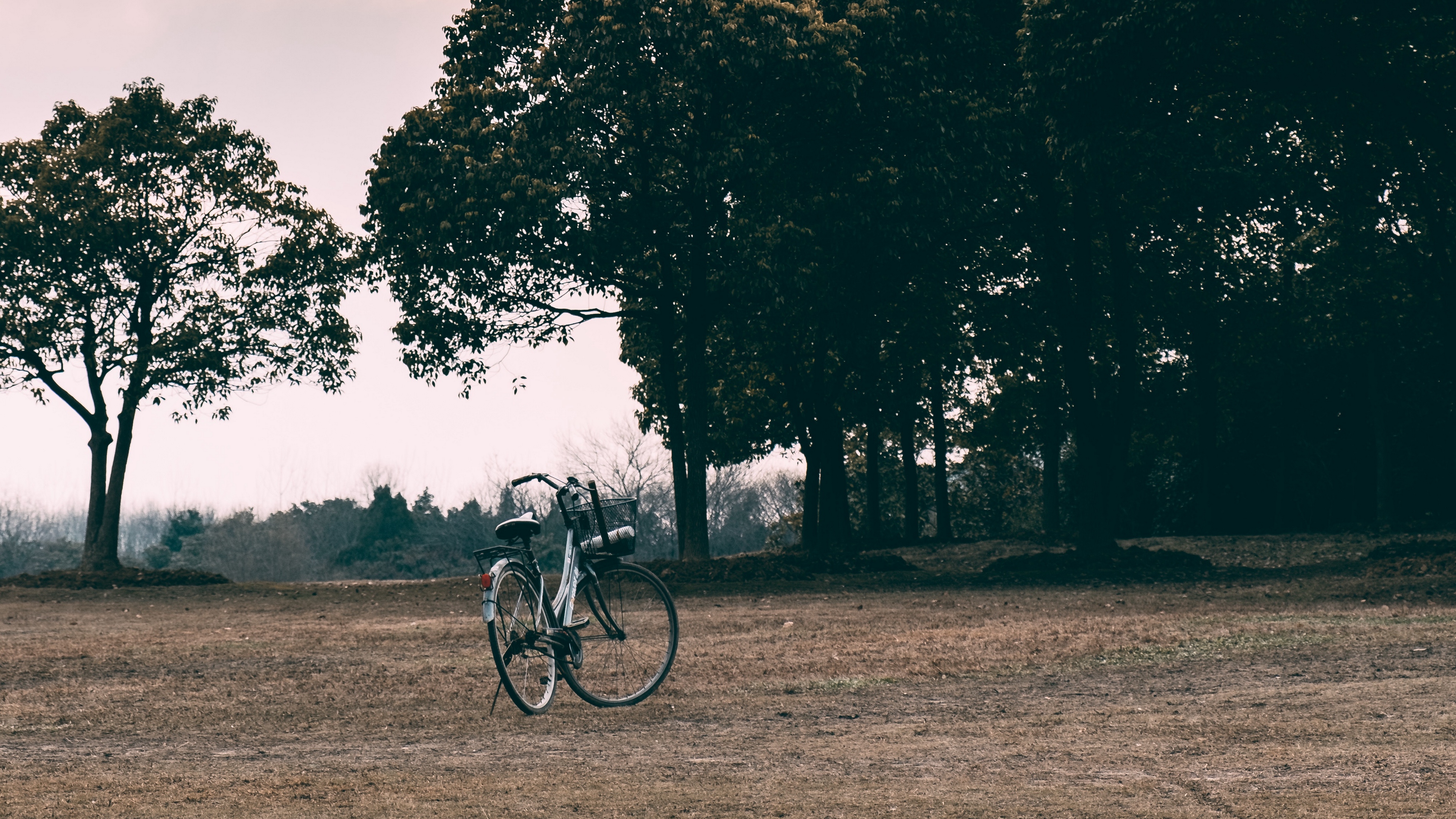 bicycle trees grass clearing clouds overcast 4k 1541116892