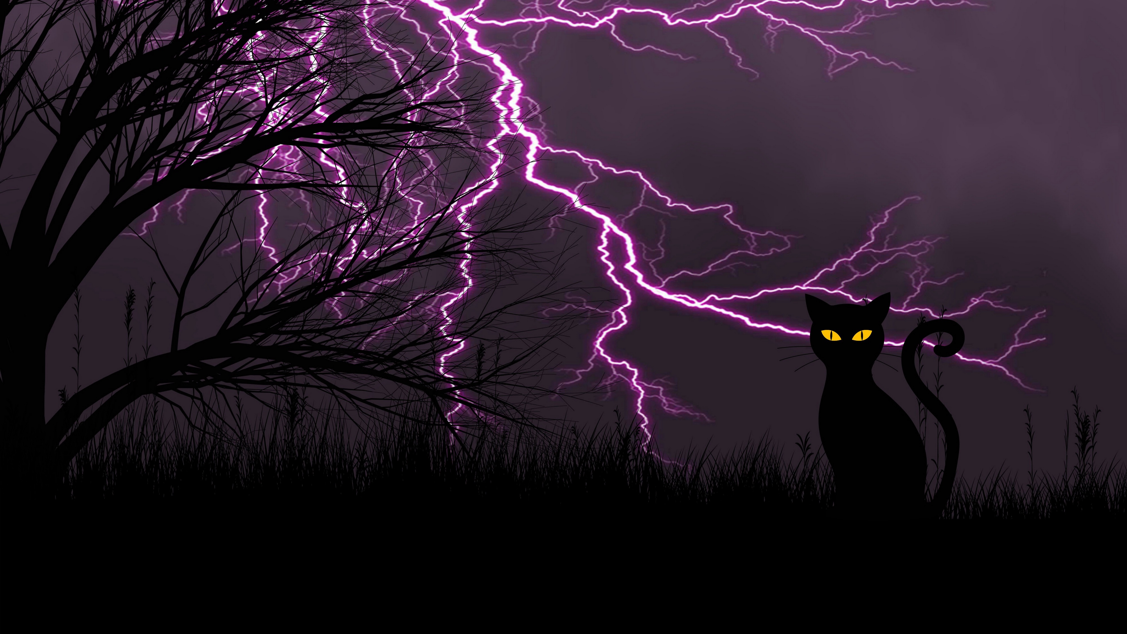 black cat lightning art grass night 4k 1541971587