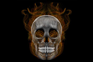 blend skull vector illustration 1541970925