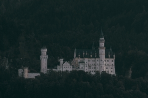 castle trees neuschwanstein castle forest mountains schwangau germany 4k 1541113681