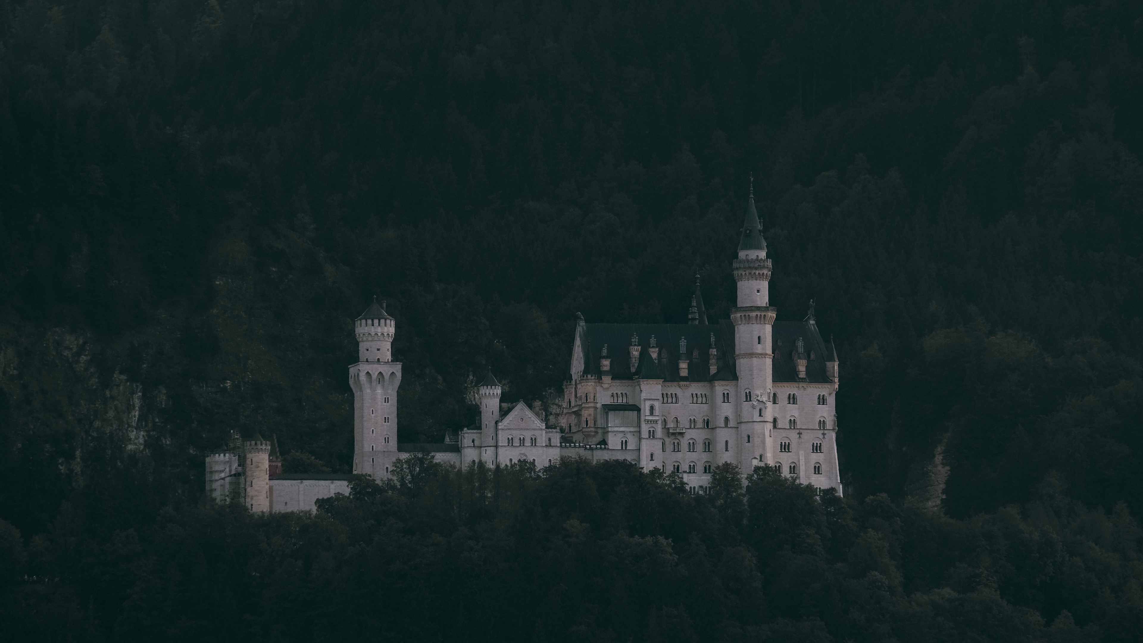 castle trees neuschwanstein castle forest mountains schwangau germany 4k 1541113681