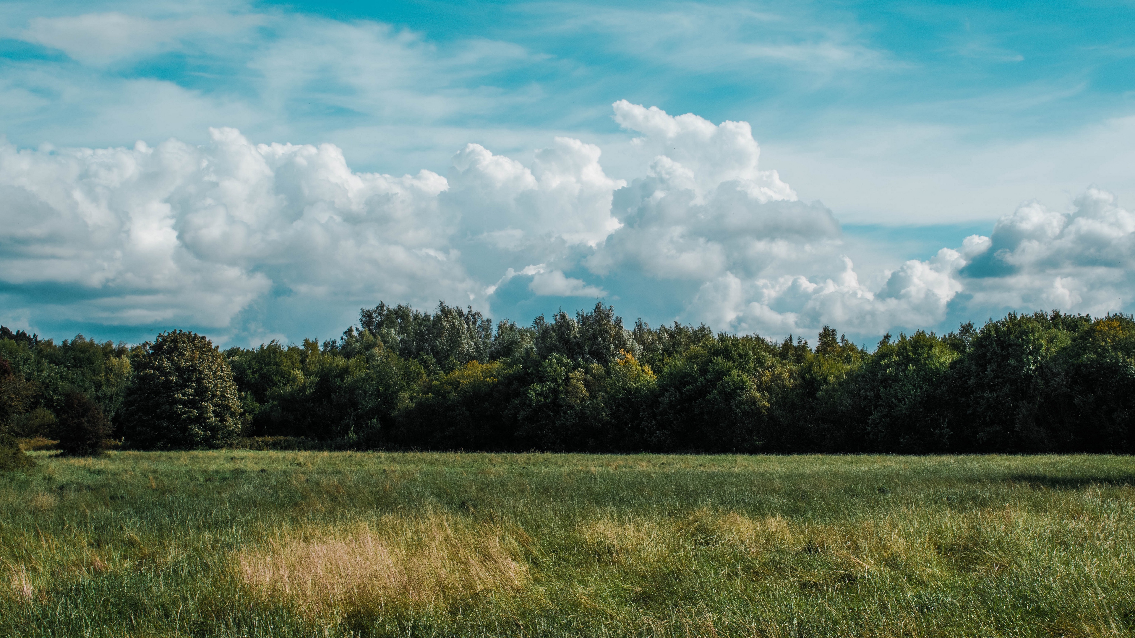 field grass clouds trees 4k 1541116011