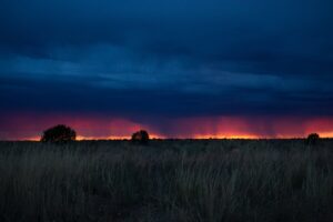 field sunset grass clouds 4k 1541116583