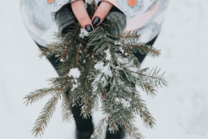 fir snow branches hands 4k 1541114745