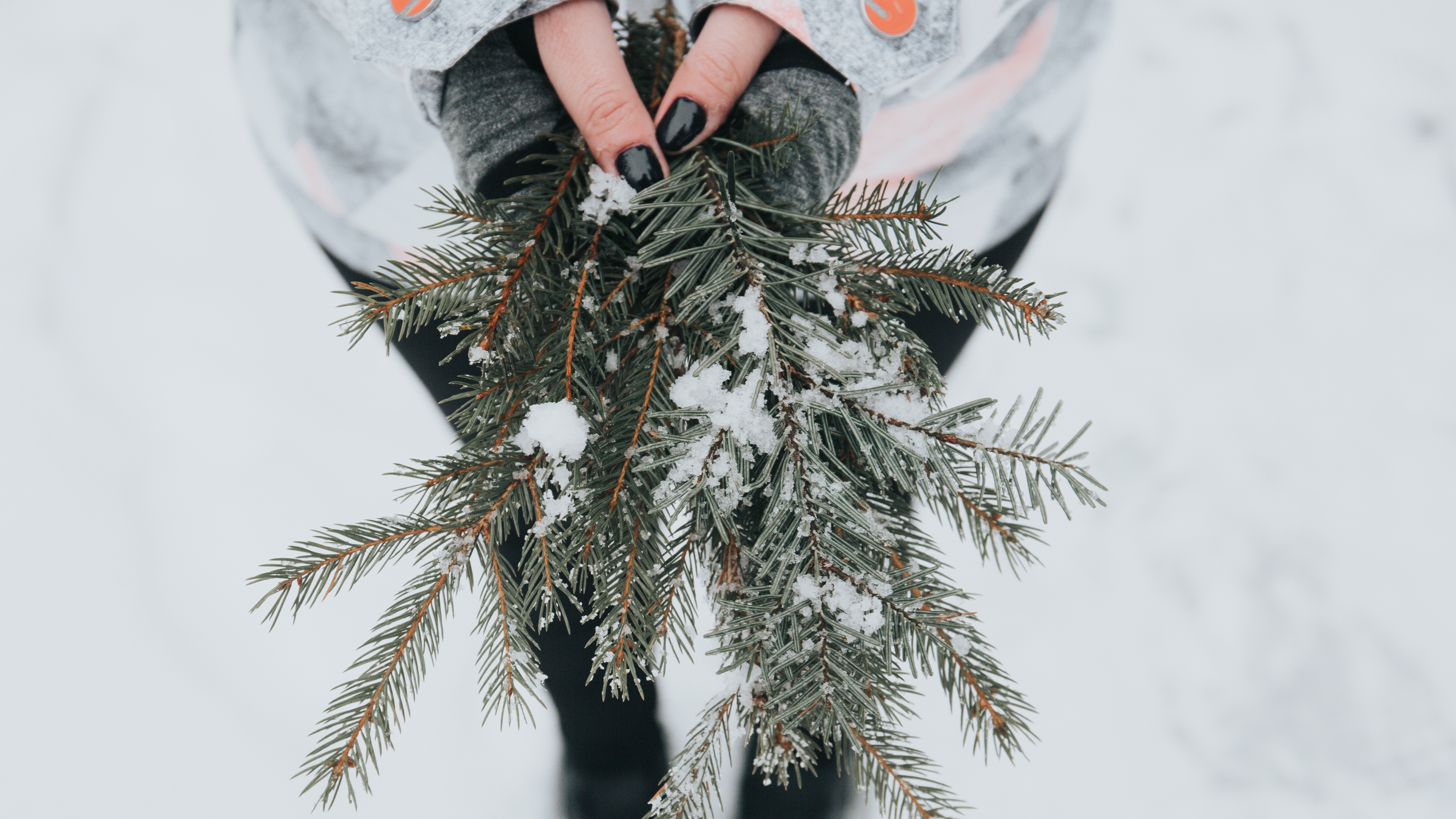 fir snow branches hands 4k 1541114745