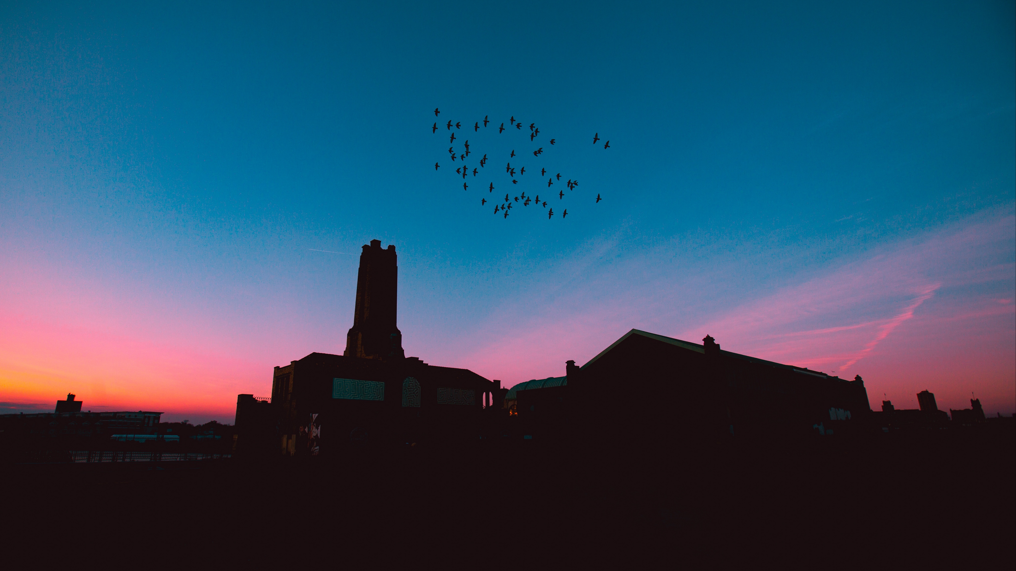 flock birds night roofs 4k 1541114892