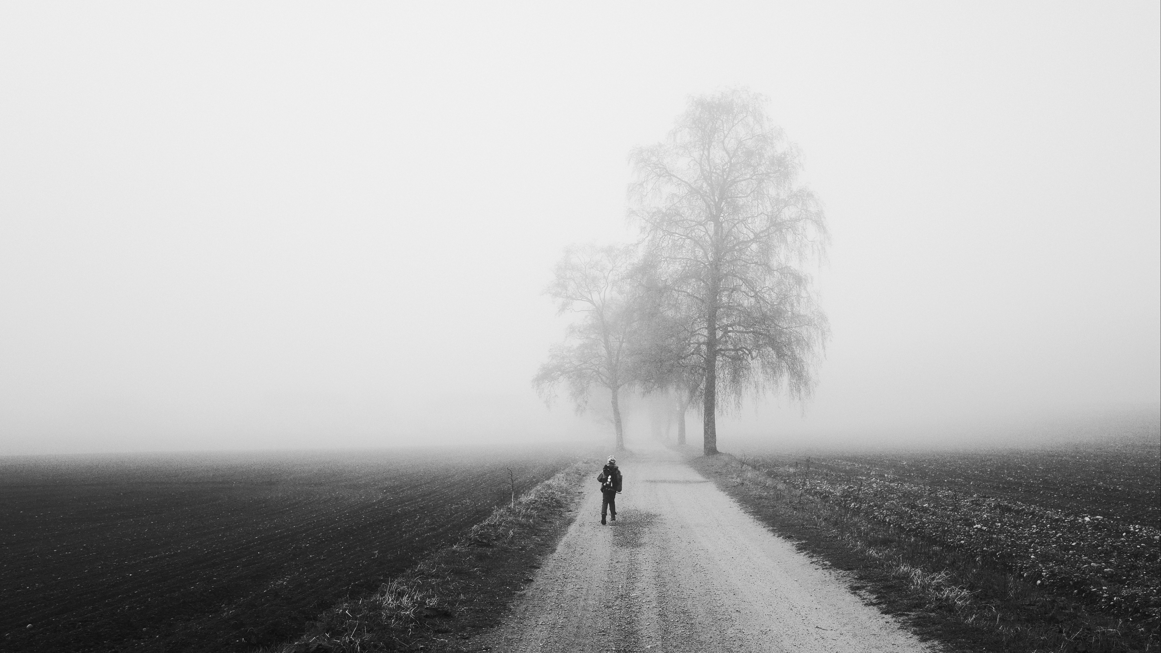 fog alone bw silhouette road trees 4k 1541117192