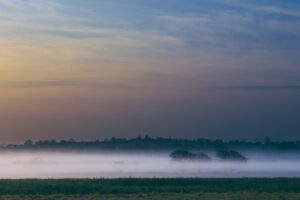 fog field sunrise trees sky 4k 1541115532