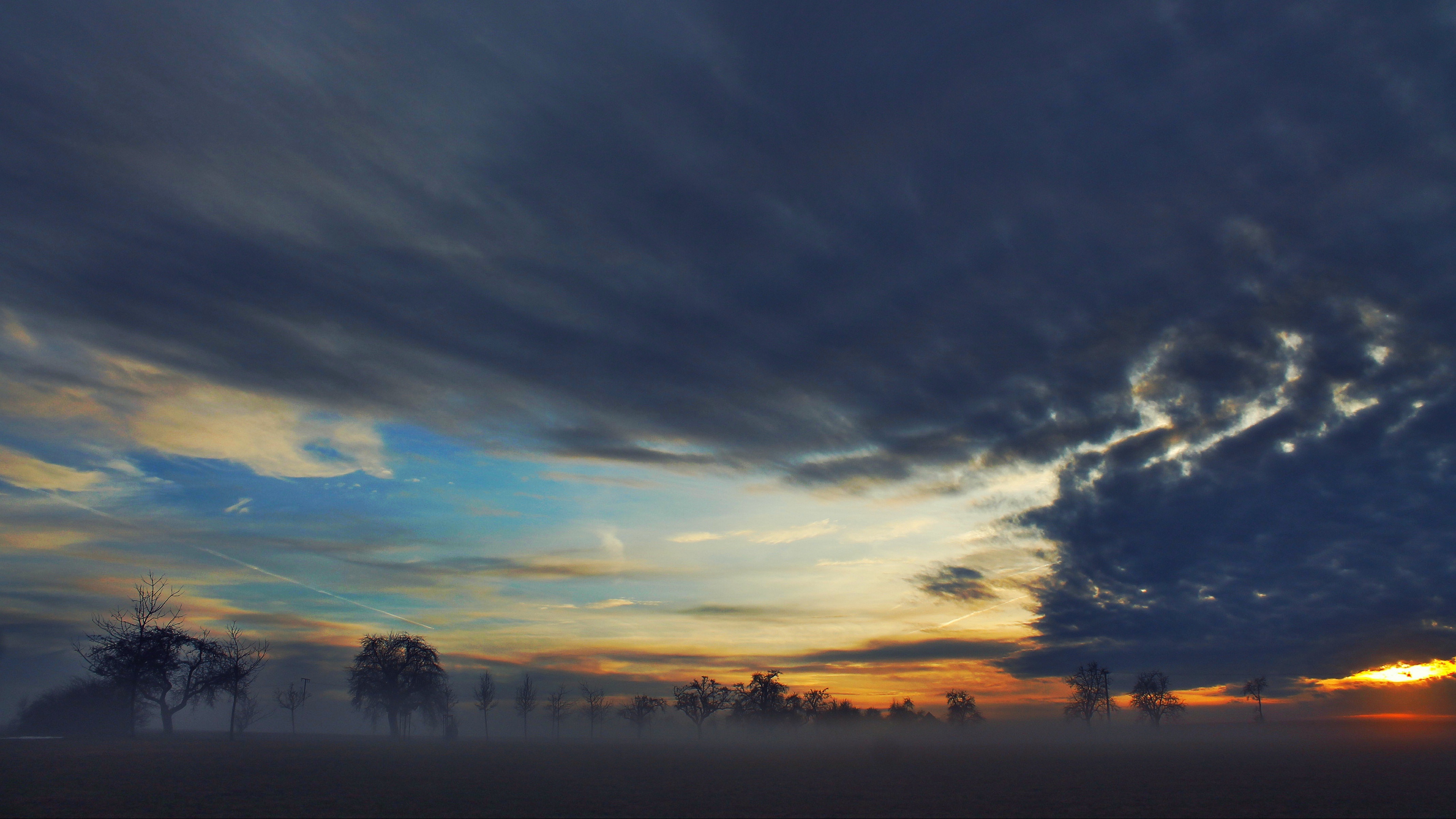 fog trees sky clouds 4k 1541116430