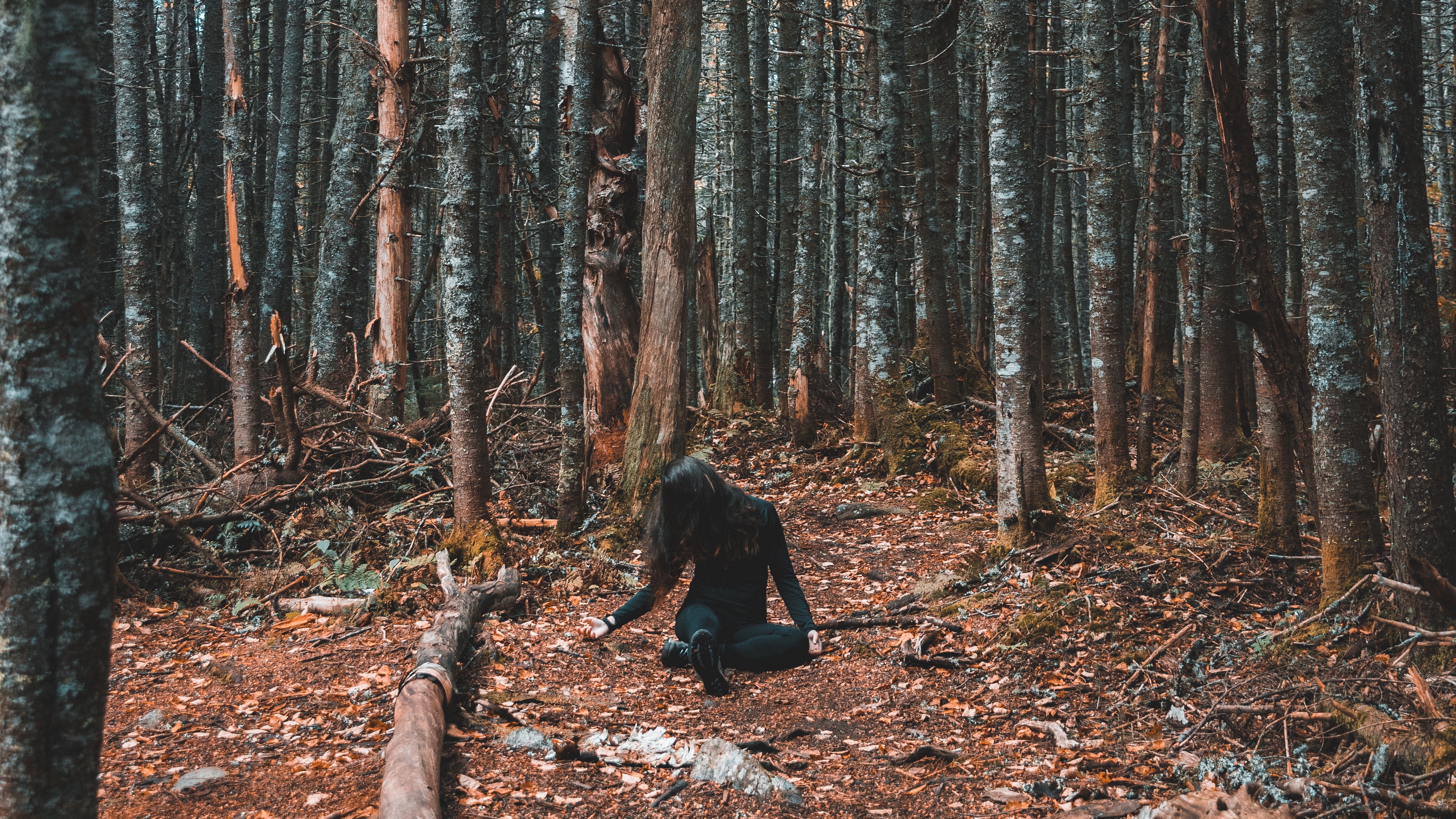 forest girl loneliness trees autumn 4k 1541115247