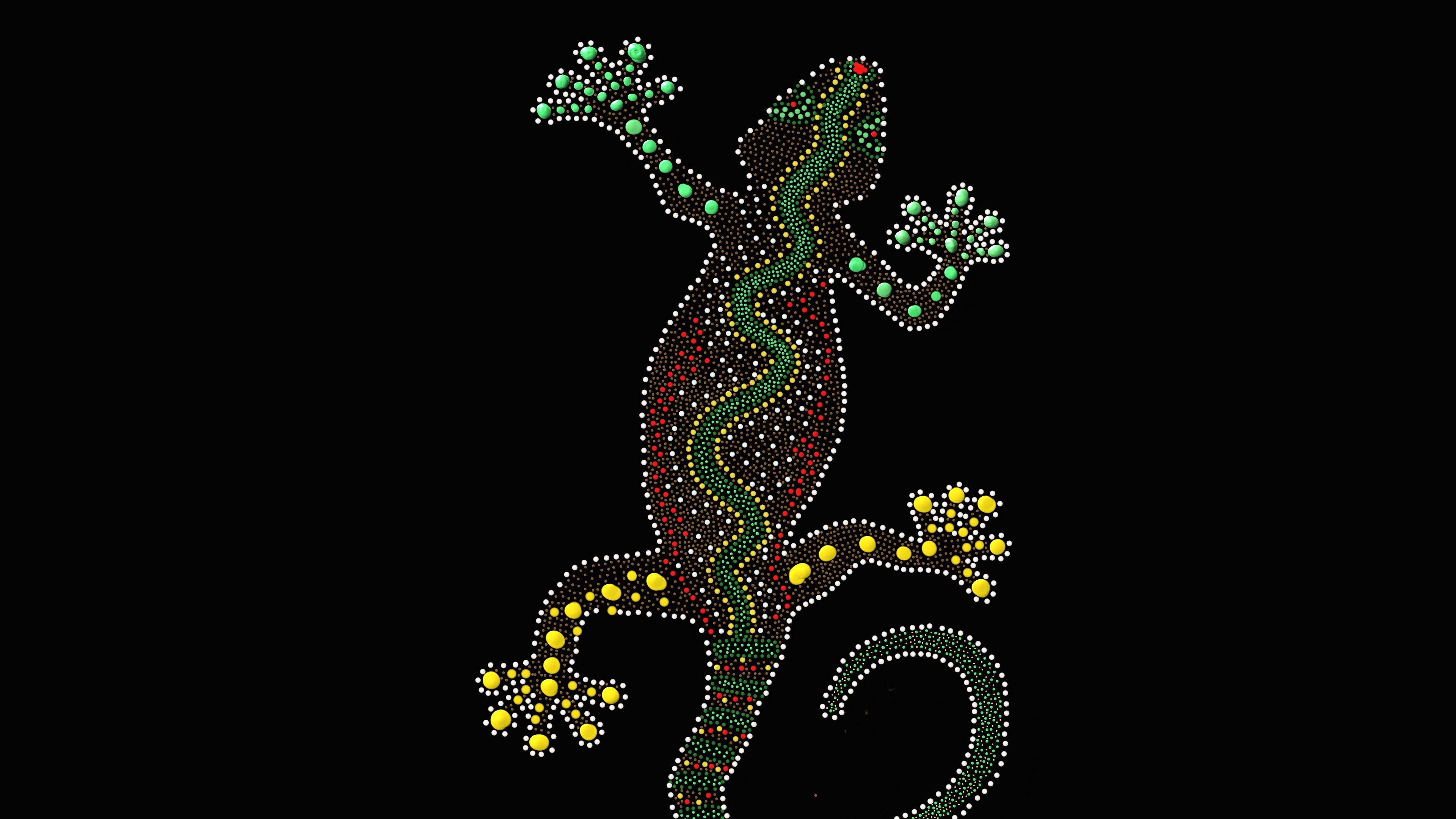 gecko lizard art point 4k 1541971112