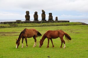 horse statues grass field food 4k 1542242688