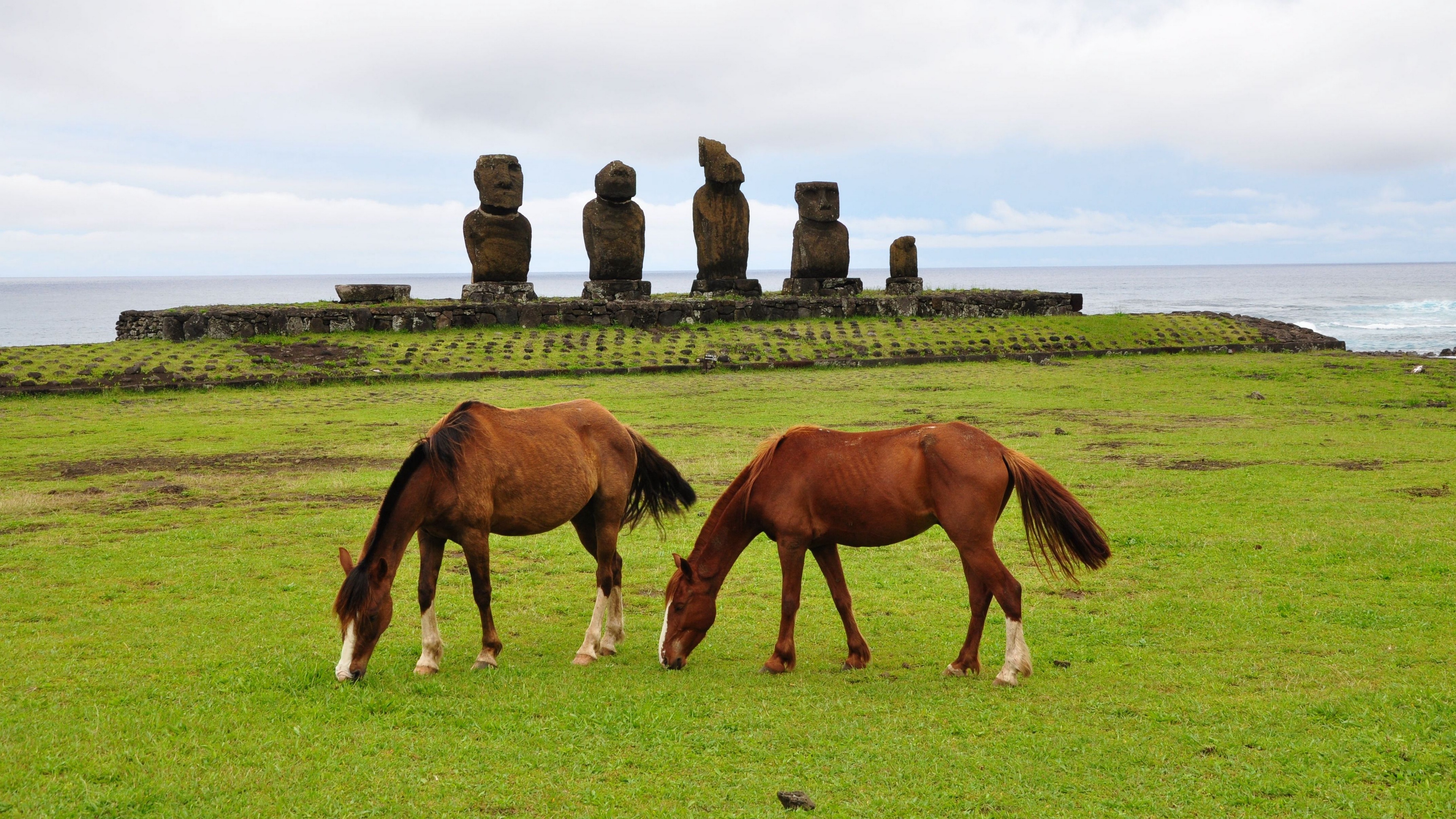 horse statues grass field food 4k 1542242688