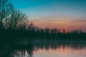 lake fog trees sunset 4k 1541117201